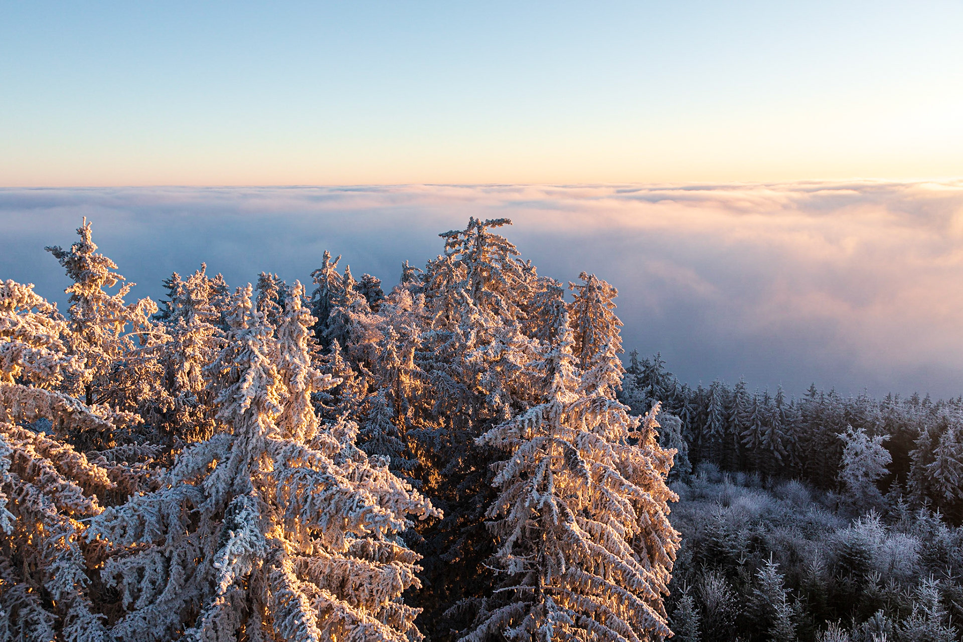 At the Viewpoint Hutwisch, Lower Austria