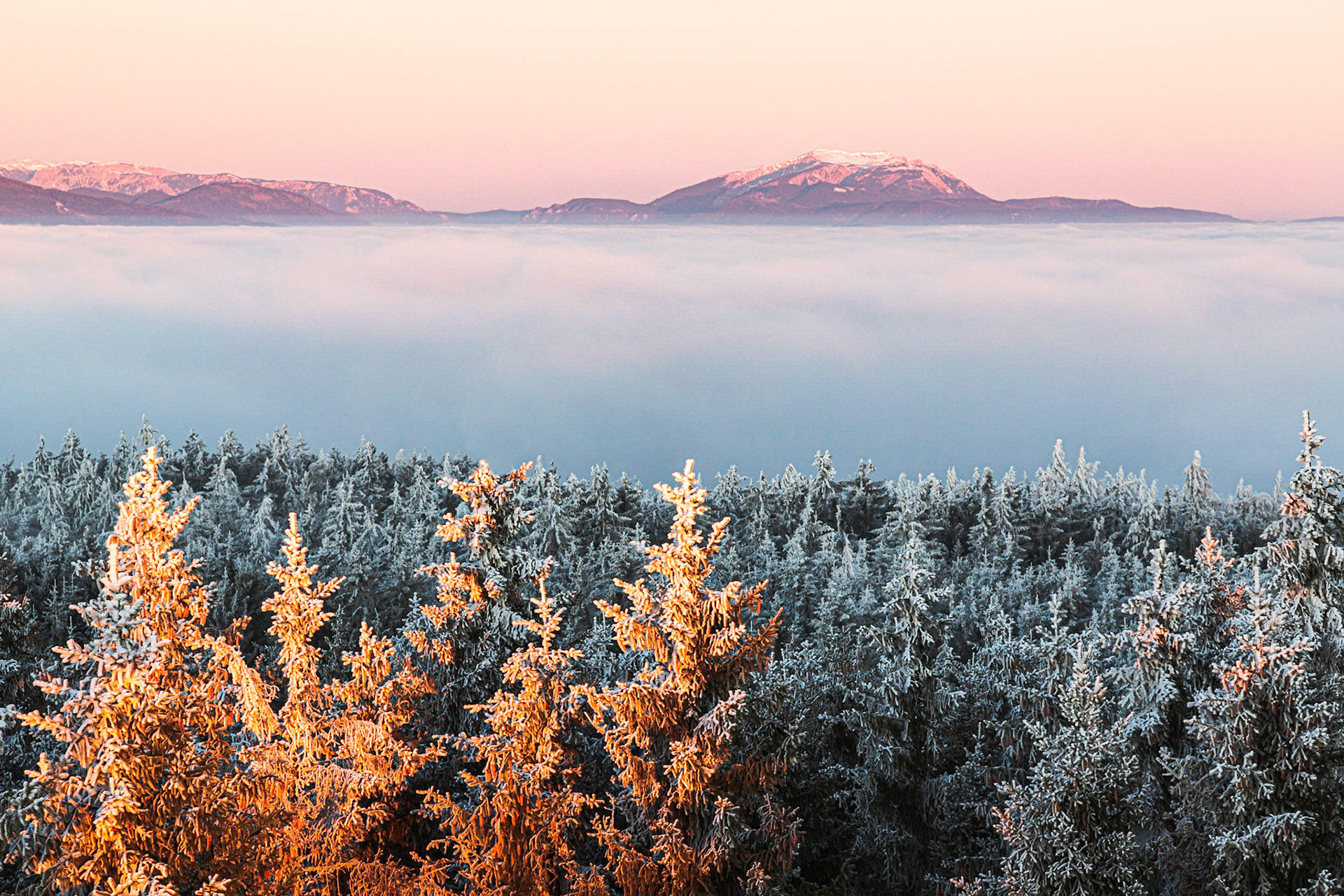 At the Viewpoint Hutwisch, Lower Austria