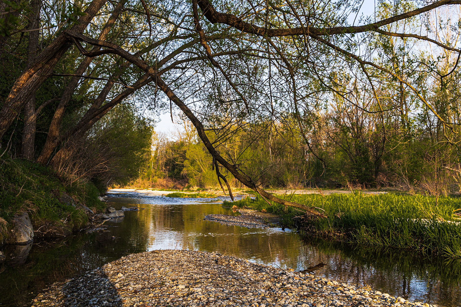 The Leitha, Lower Austria