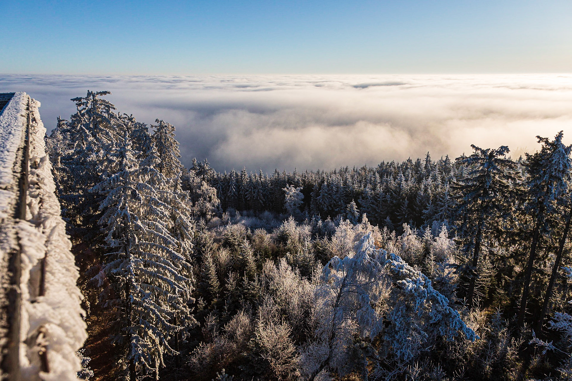 At the Viewpoint Hutwisch, Lower Austria