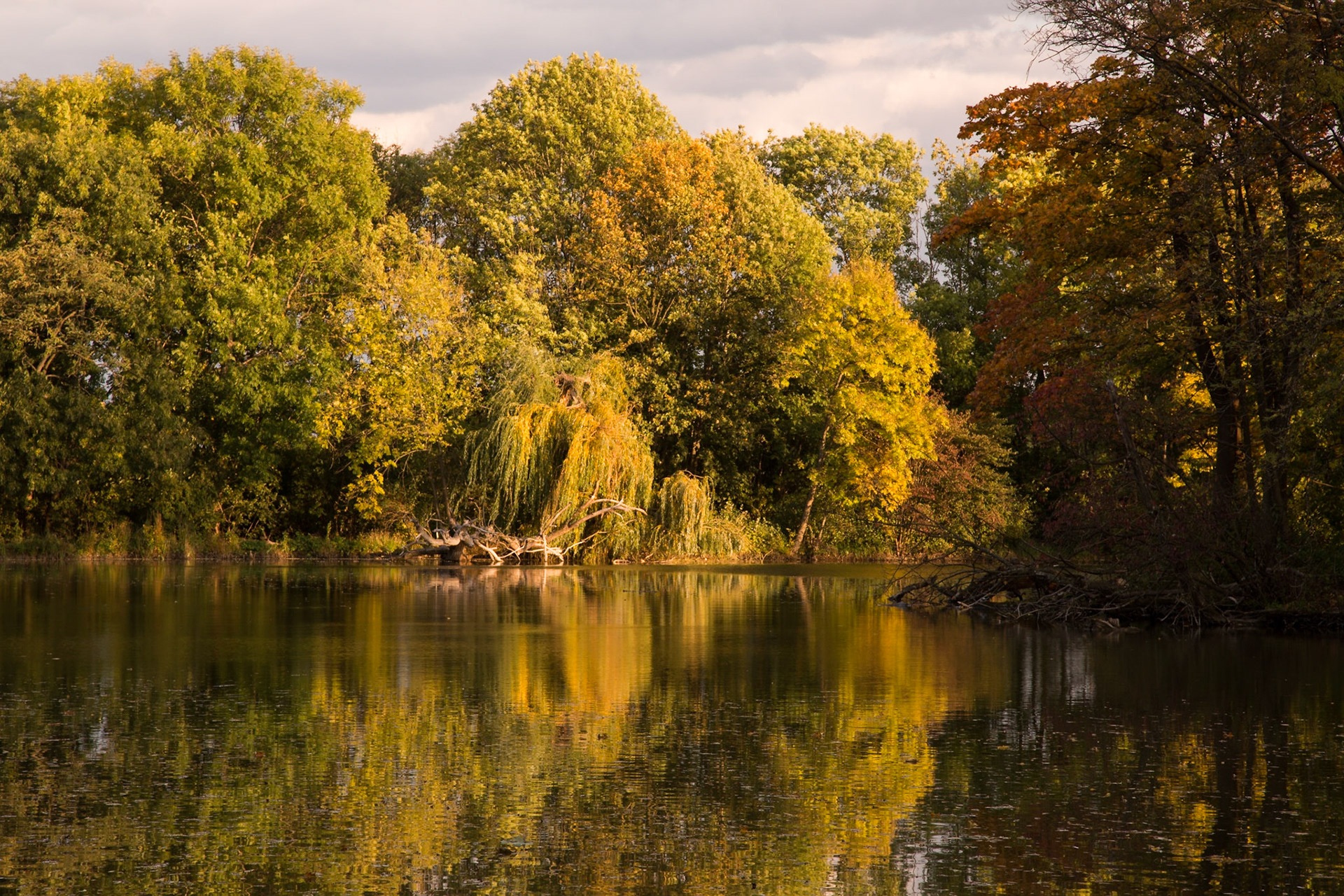 The Pionierteich in Wiener Neustadt, Lower Austria