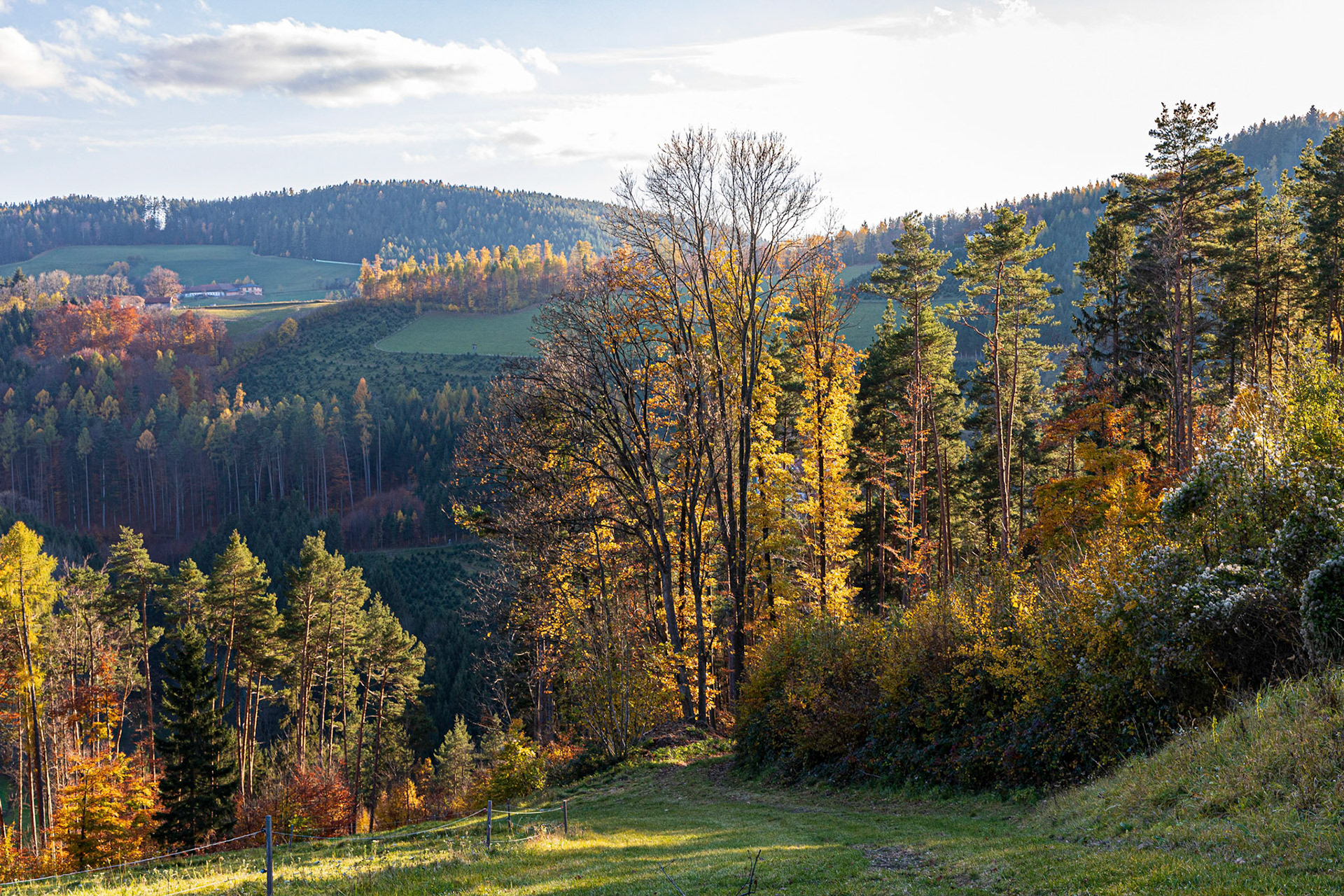 Autumn near Kienegg, Bucklige Welt, Lower Austria