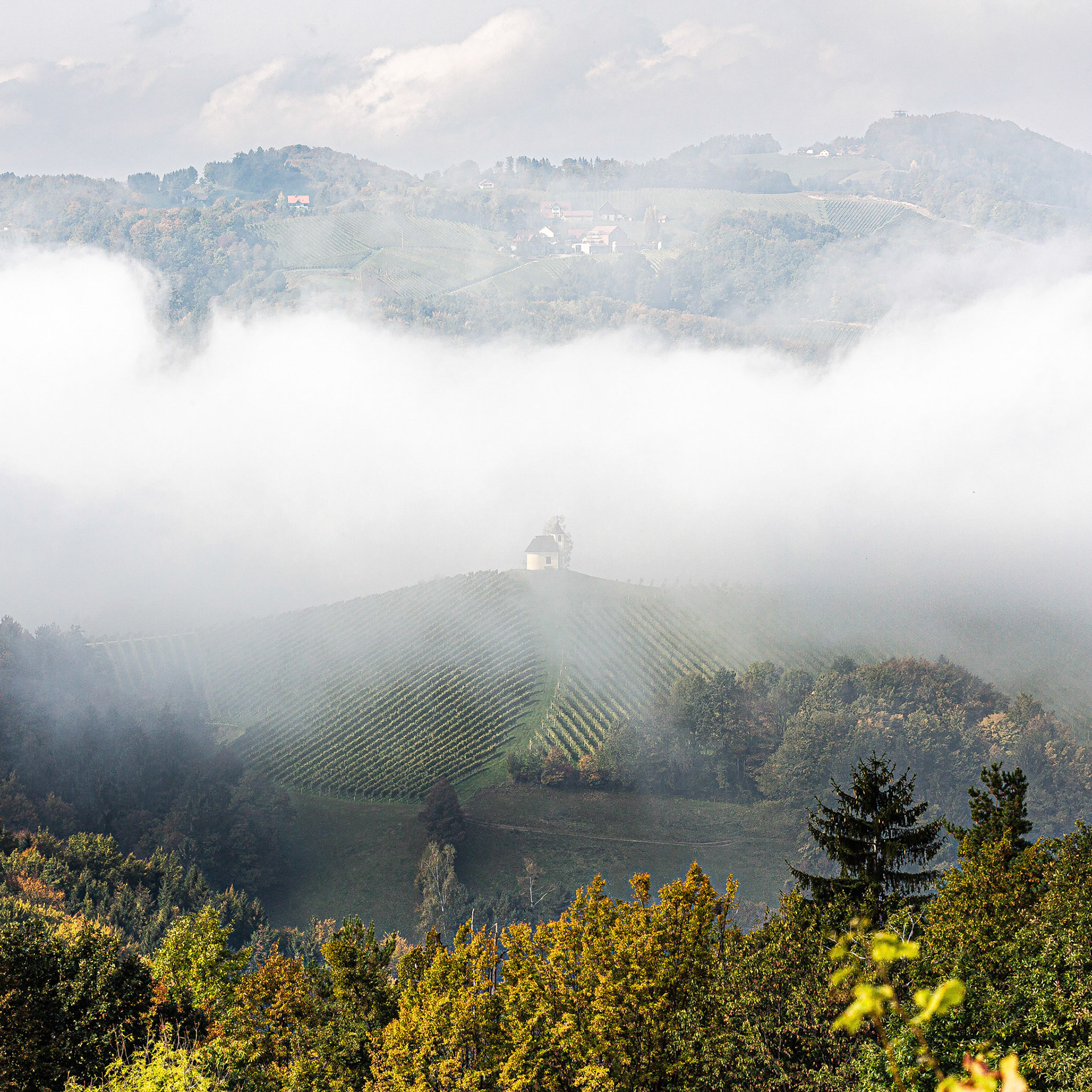 In the South of Styria, Austria.
