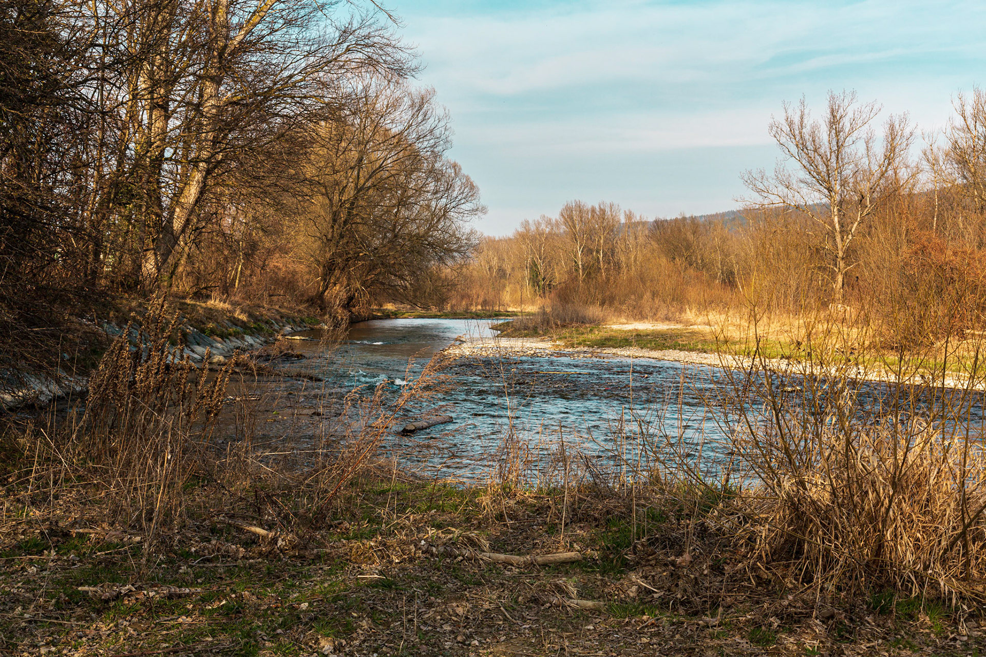 The Leitha, Lower Austria