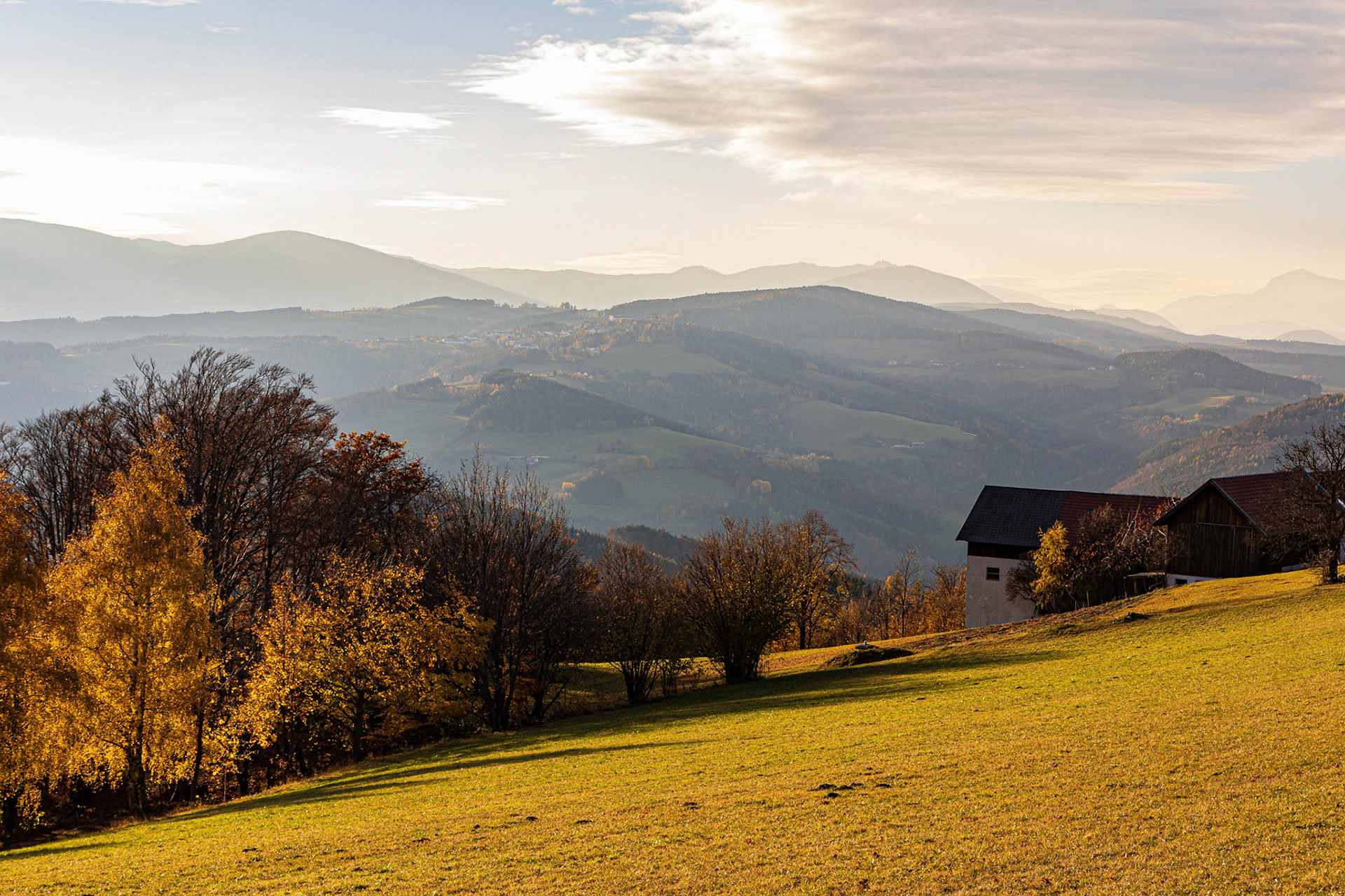 Autumn near Kienegg, Bucklige Welt, Lower Austria