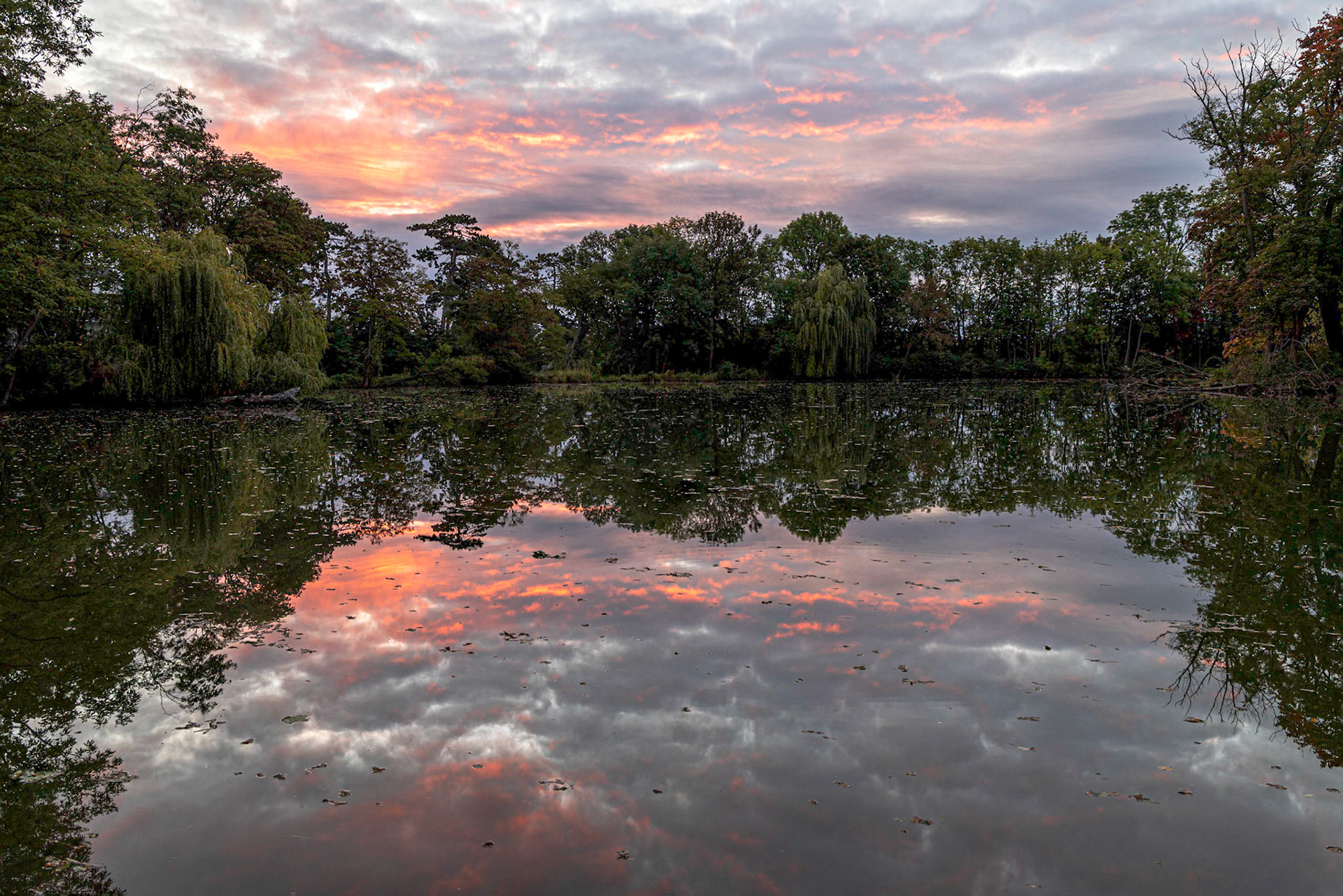 The Pionierteich in Wiener Neustadt, Lower Austria