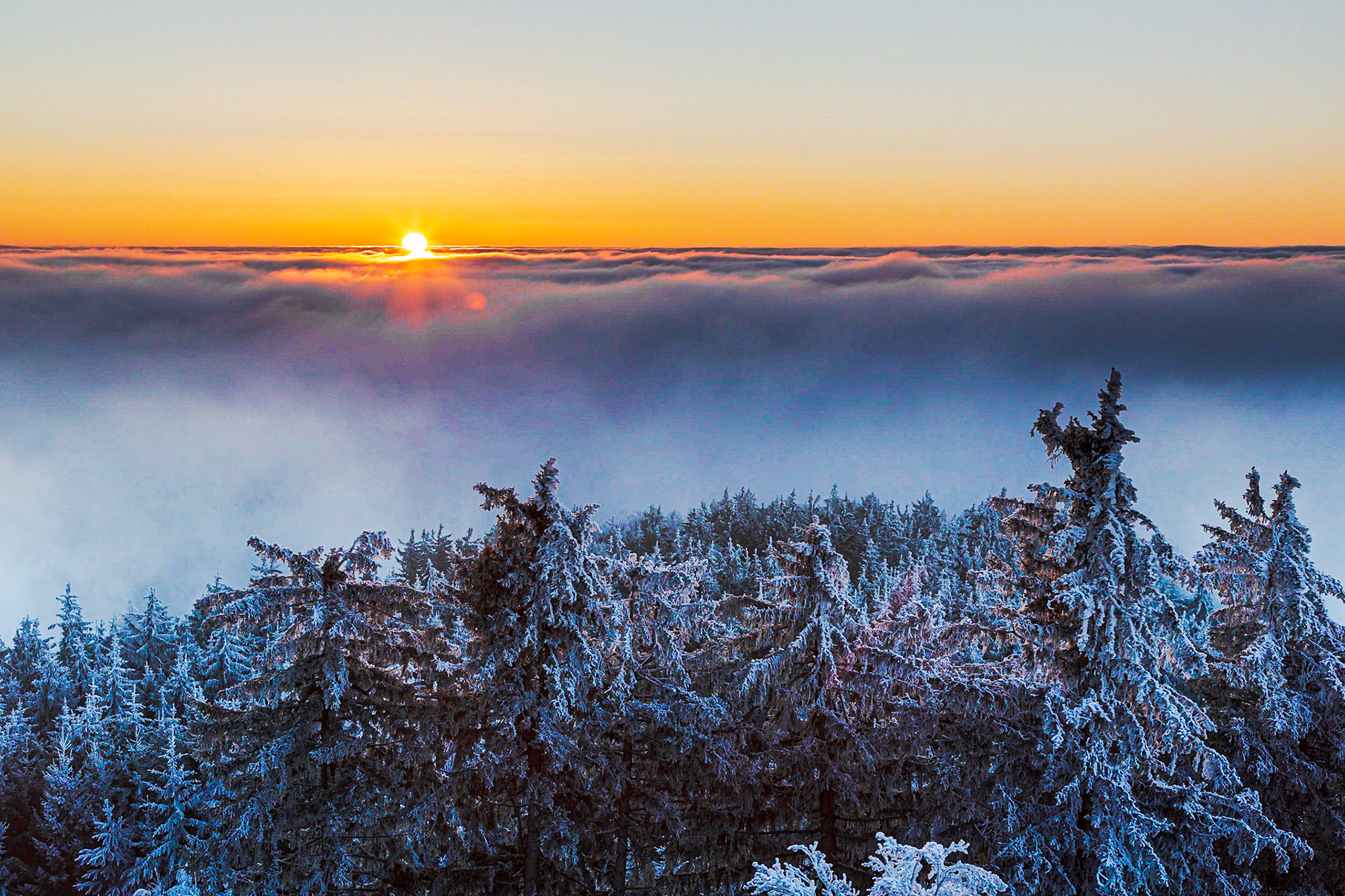 At the Viewpoint Hutwisch, Lower Austria