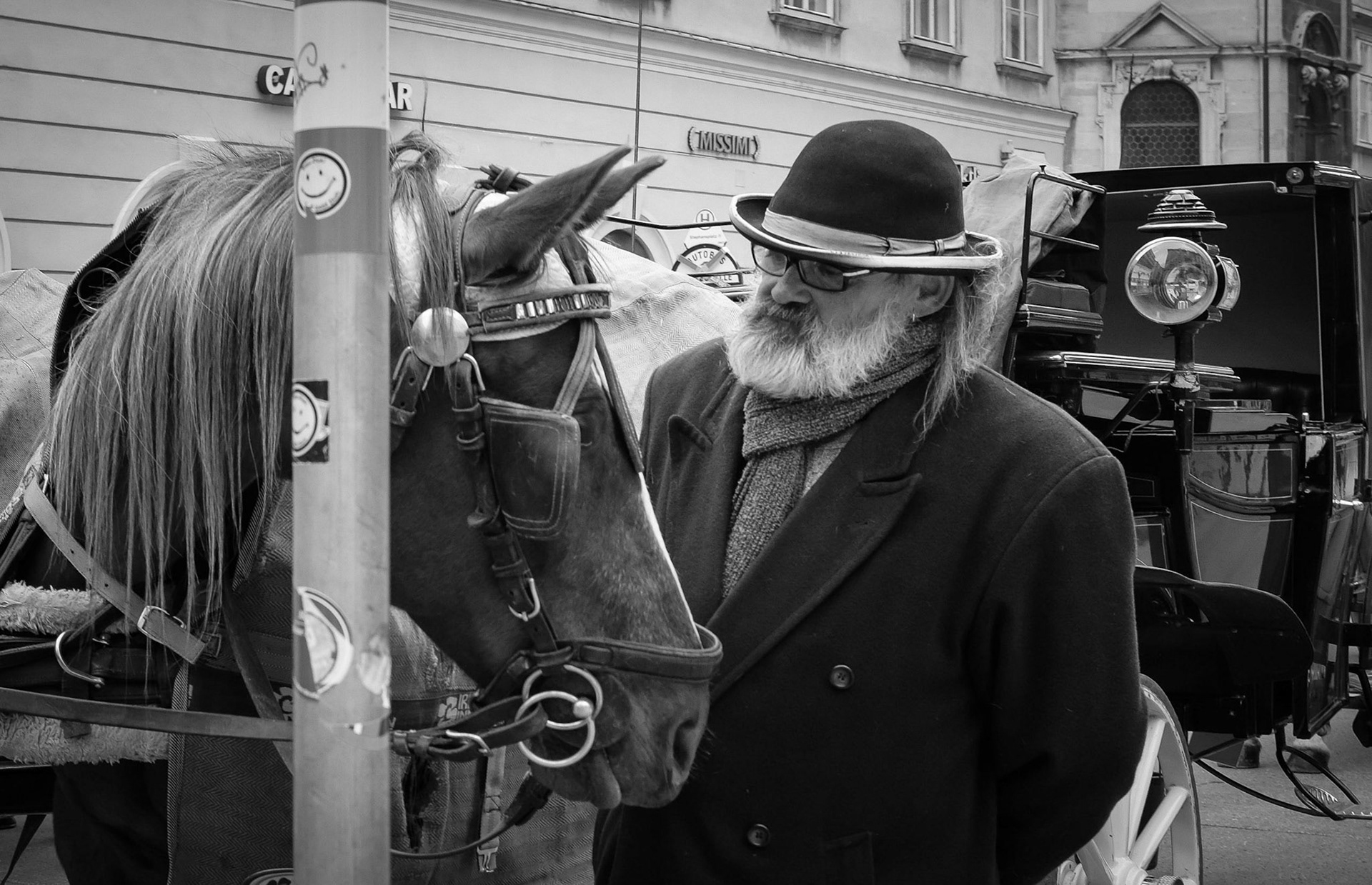 Der Fiaker und sein Pferd, Wien 2019