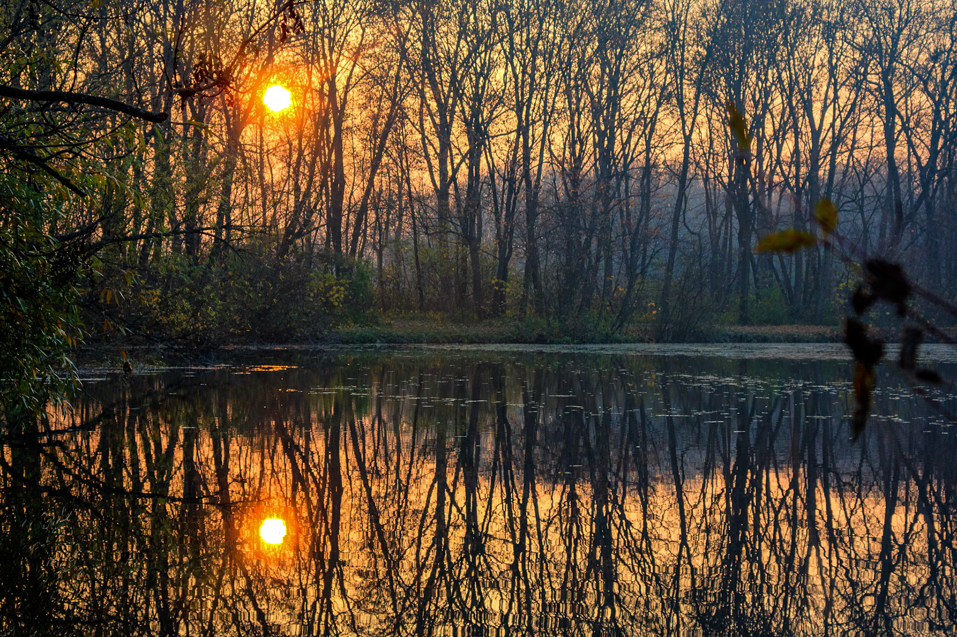 The Pionierteich in Wiener Neustadt, Lower Austria