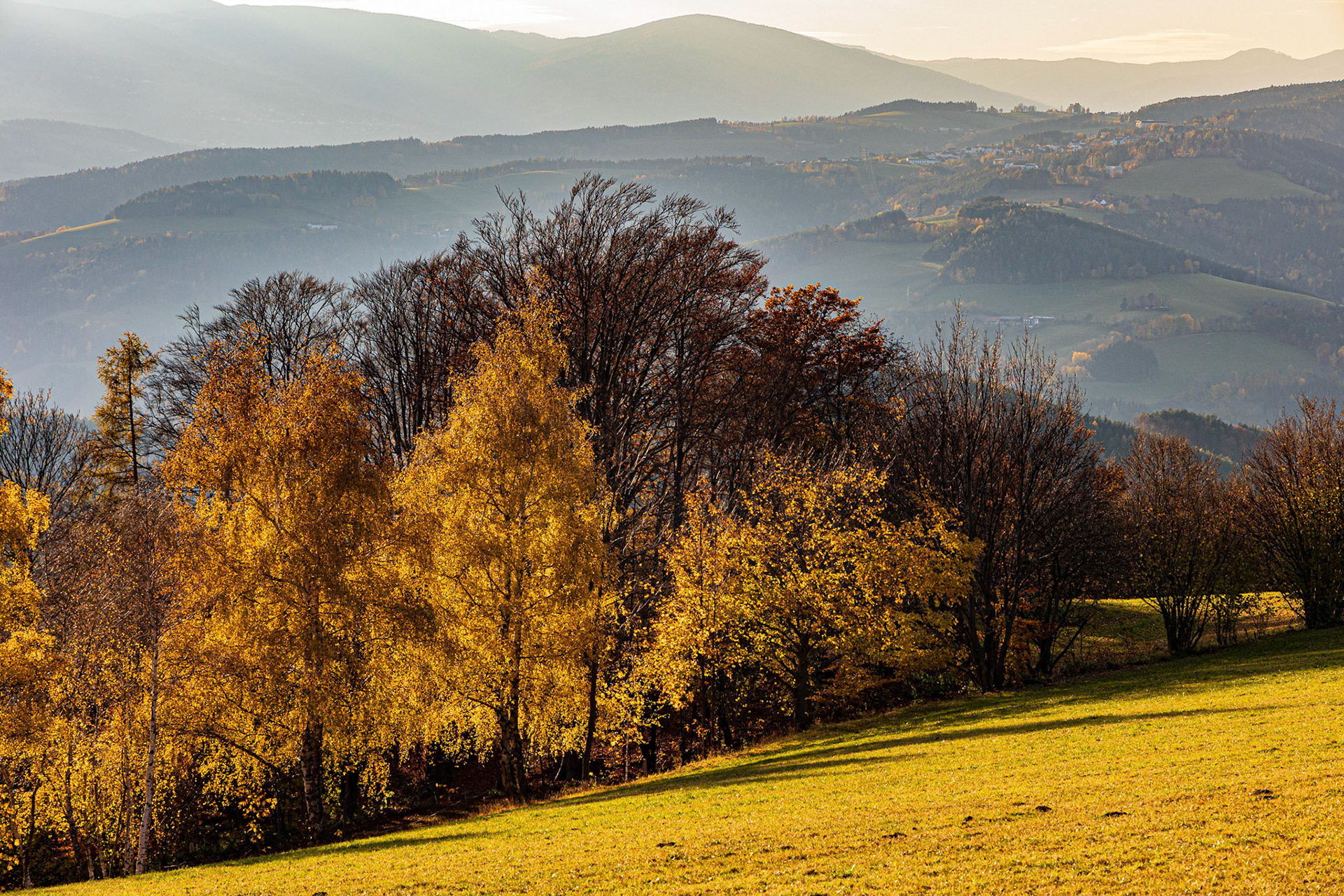 Autumn near Kienegg, Bucklige Welt, Lower Austria