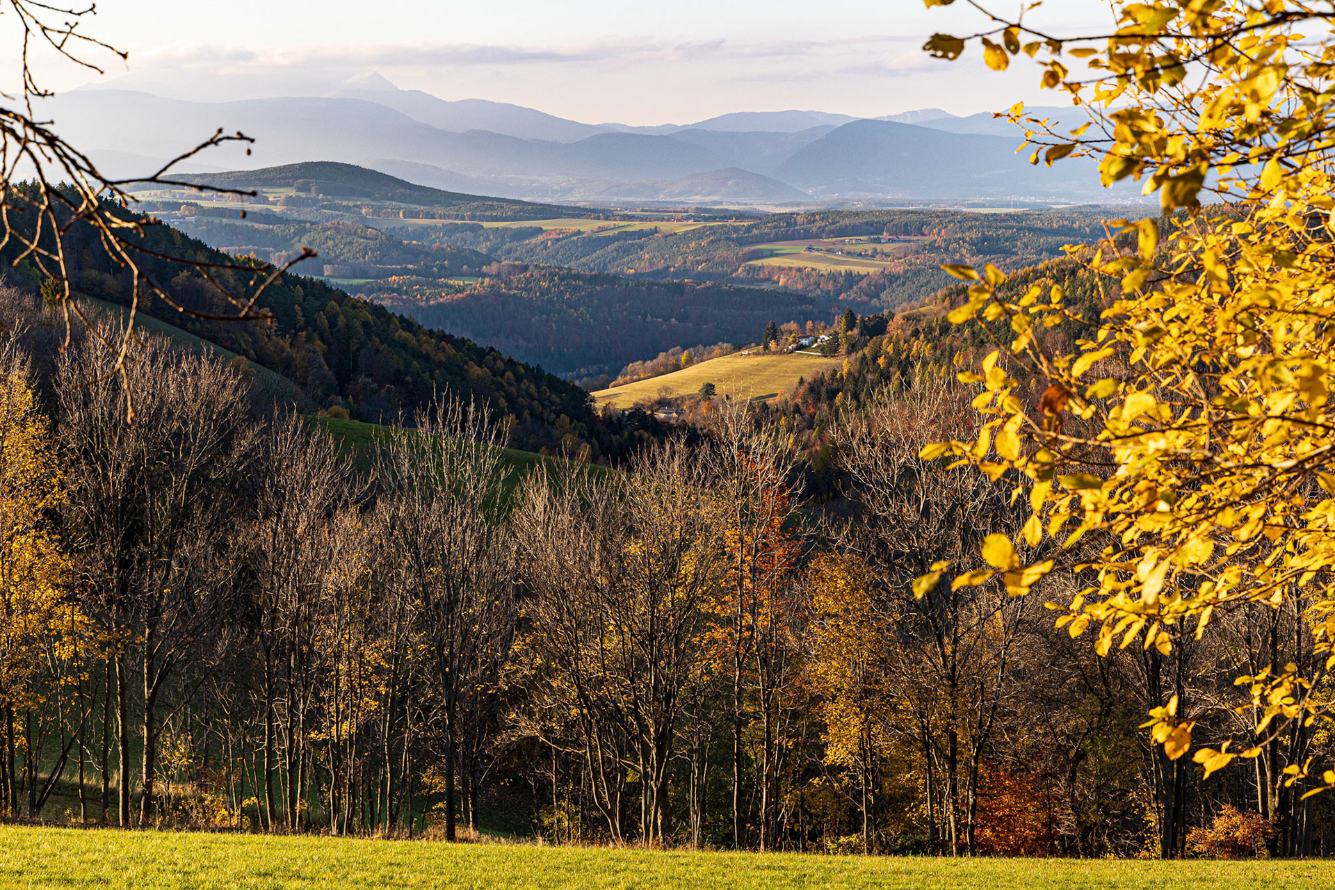 Autumn near Kienegg, Bucklige Welt, Lower Austria