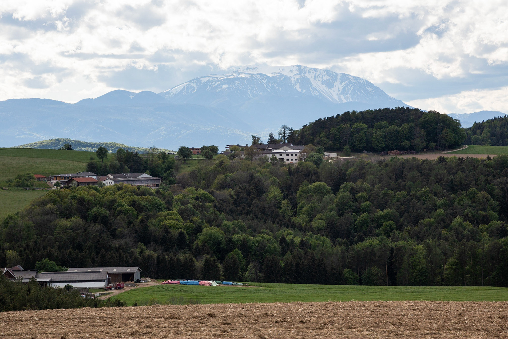 Bucklige Welt near Dreibuchen, Lower Austria