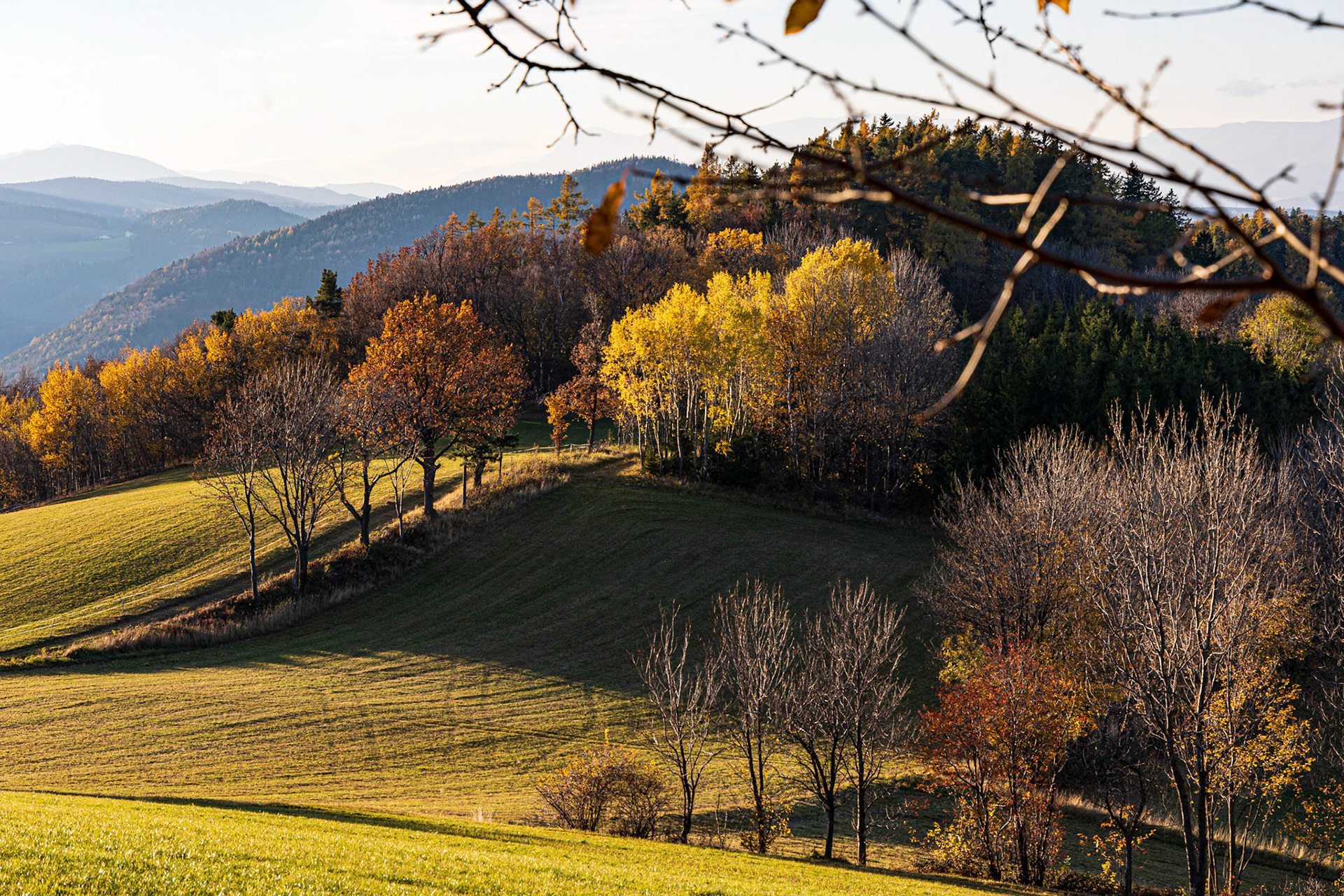 Autumn near Kienegg, Bucklige Welt, Lower Austria