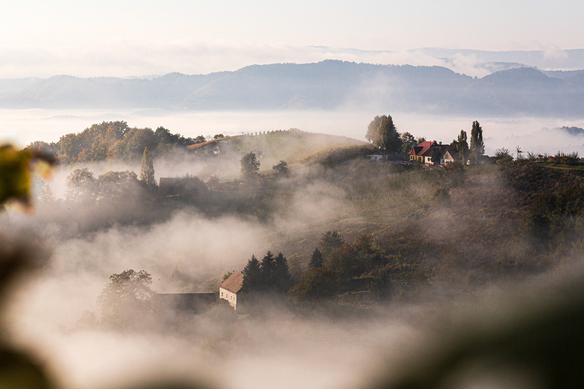In the South of Styria, Austria.