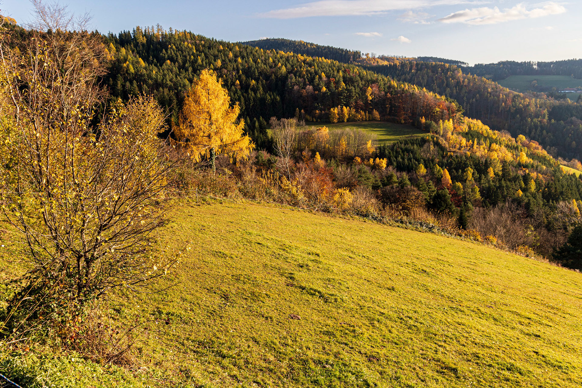 Autumn near Kienegg, Bucklige Welt, Lower Austria