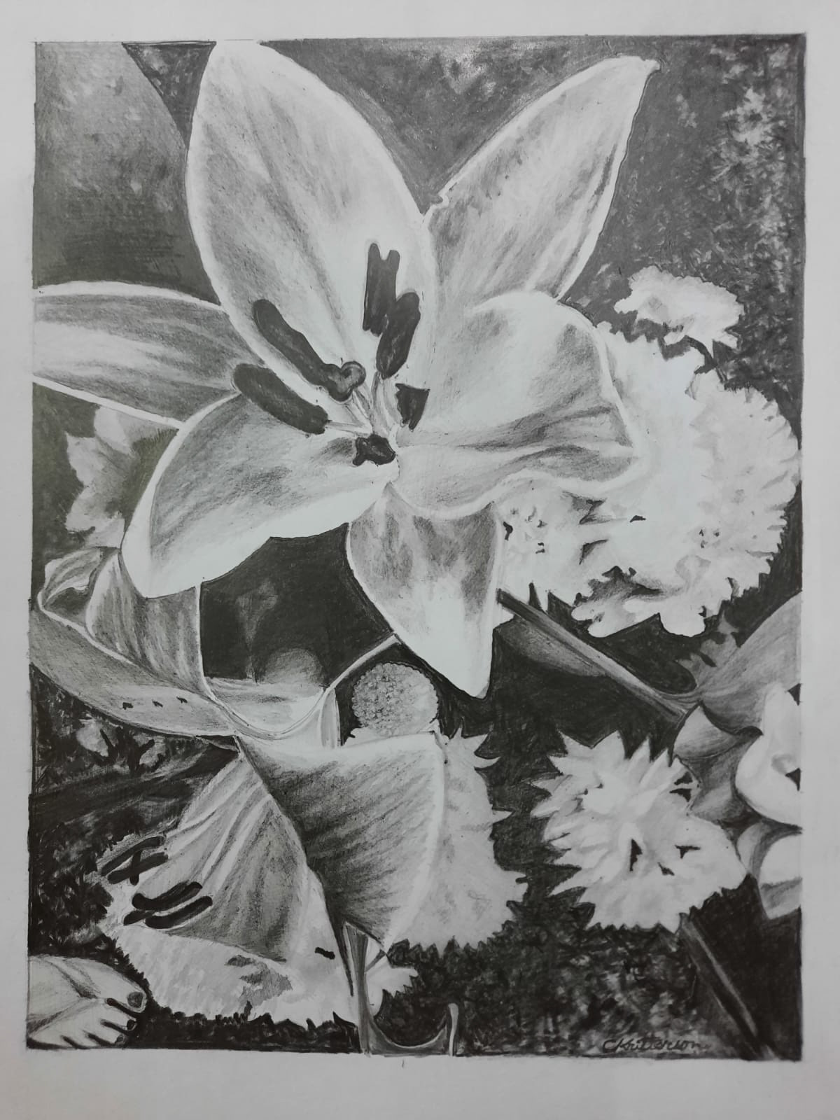 Pisada en flor / Grafito sobre papel