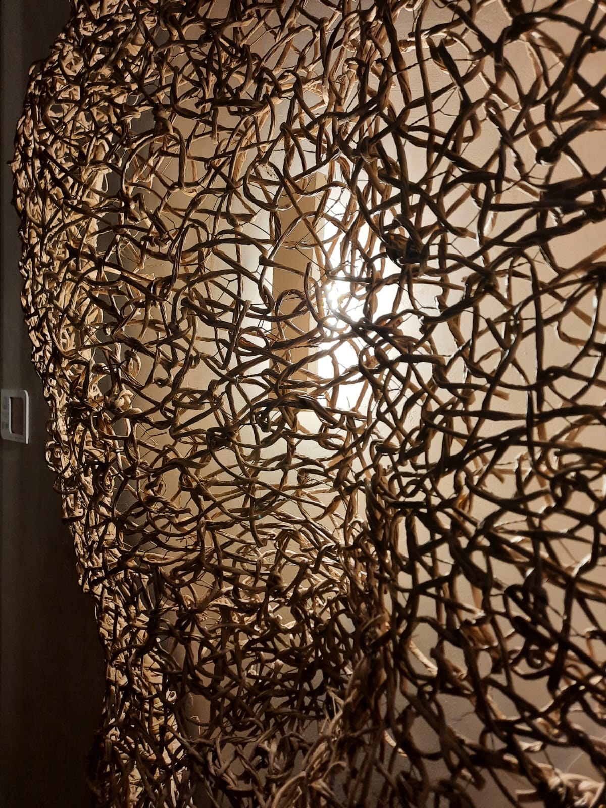 Luz en trama