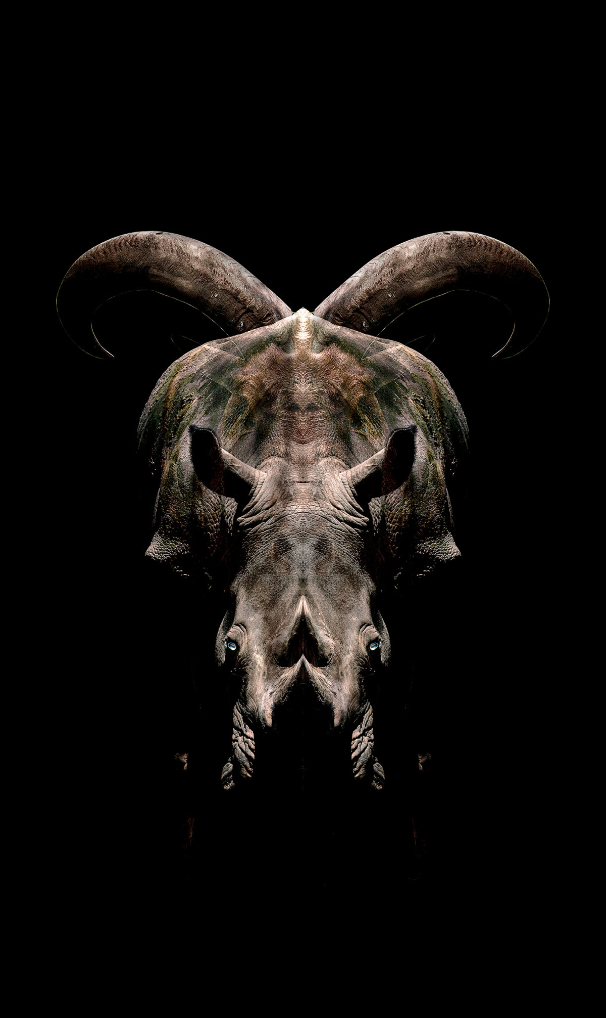 fiction | non-fiction #01