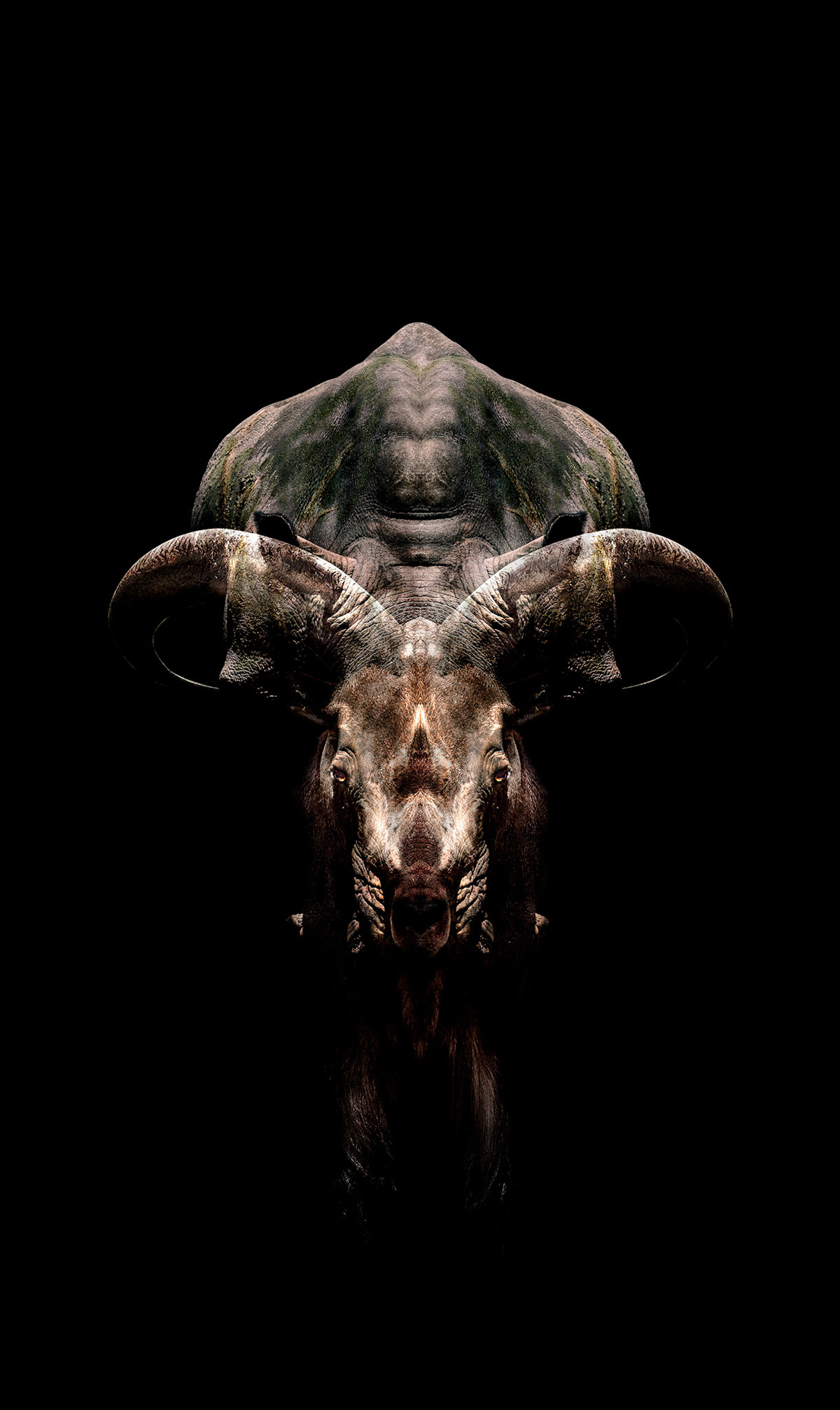 fiction | non-fiction #02