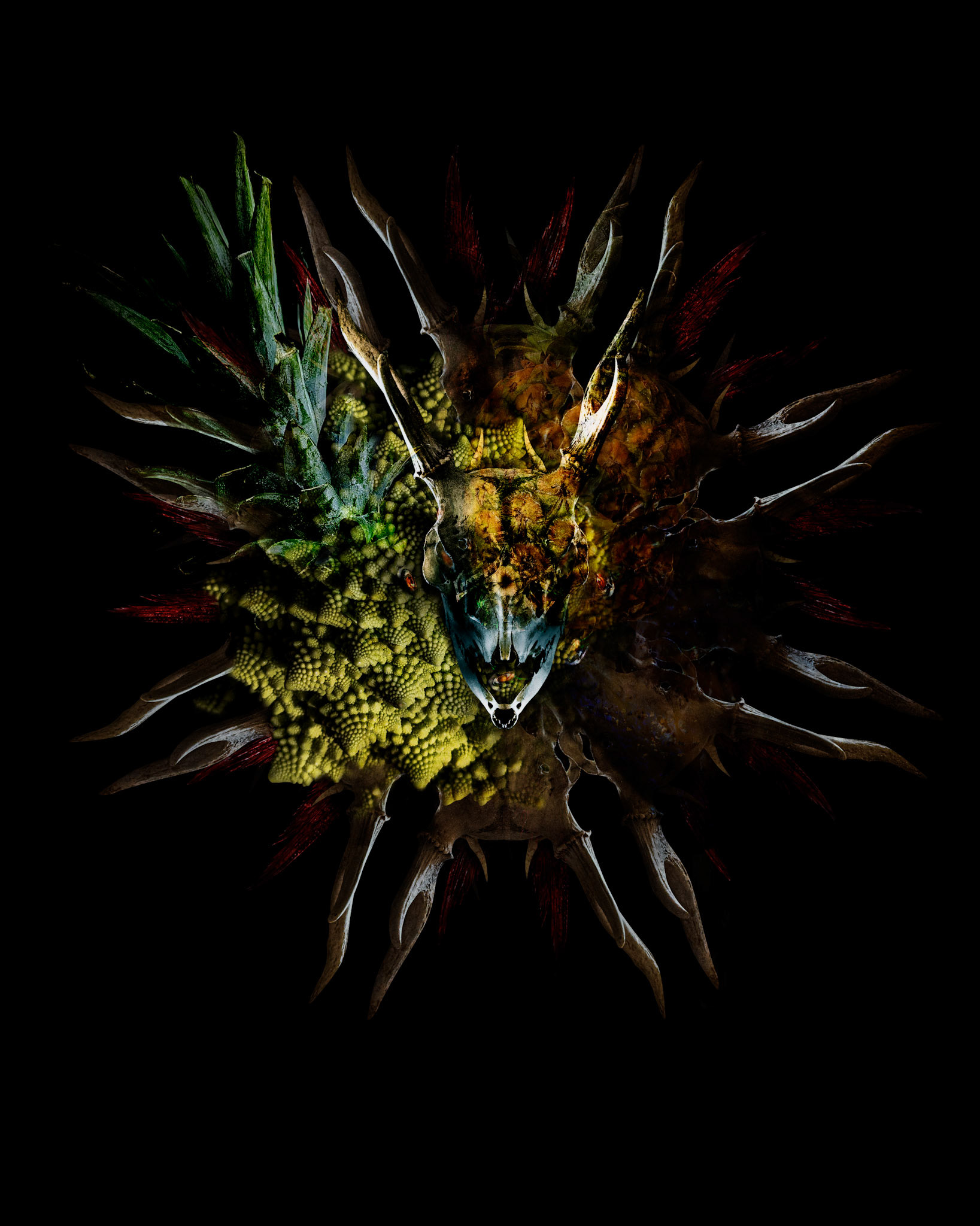 "Torus" †Market by Pixel