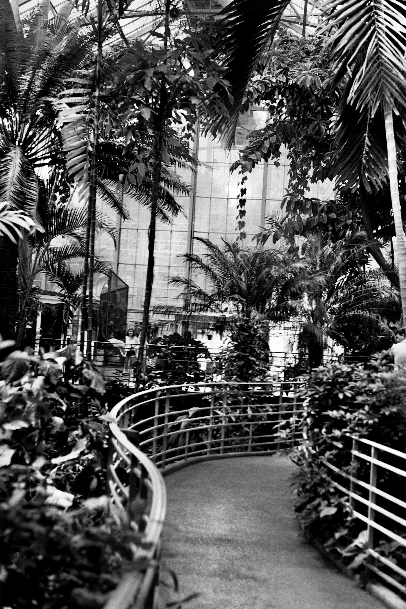 Autosave-File vom d-lab2/3 der AgfaPhoto GmbH