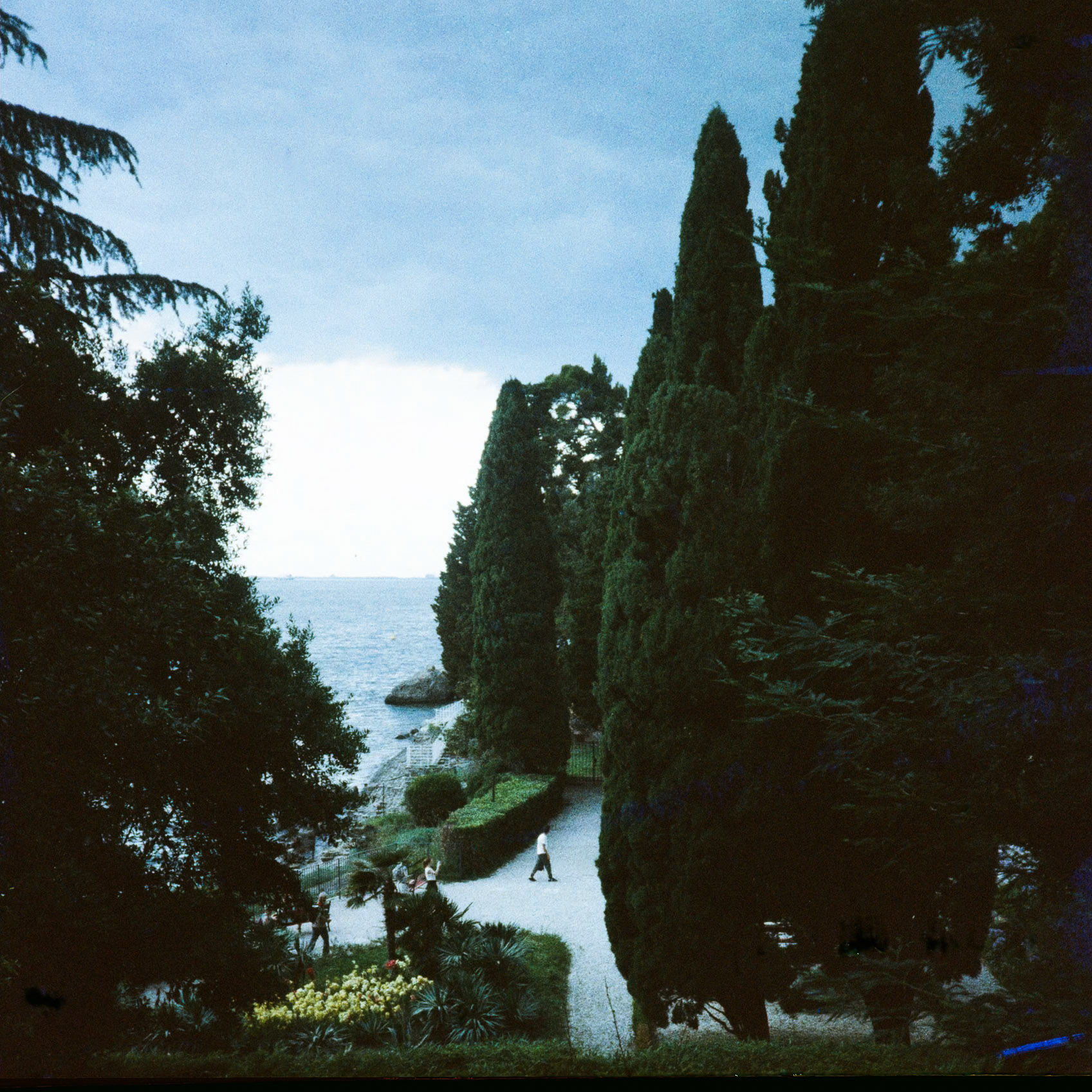 trieste 2024
