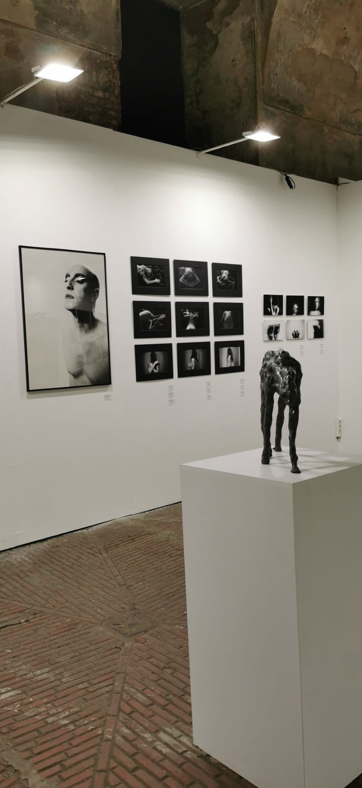 Paratissima Art Station 2020 | Angela Viola