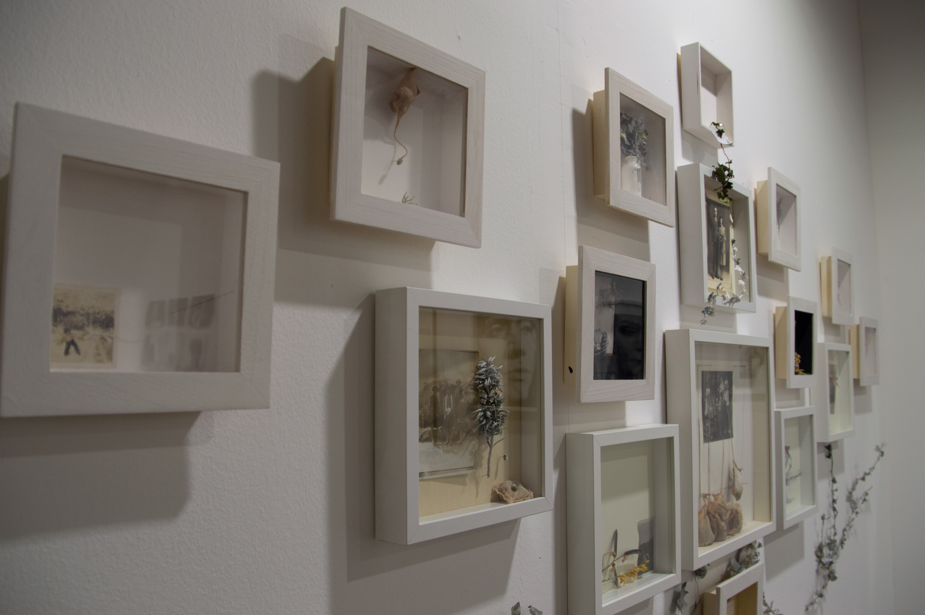 Happy Familiæ | Ordine apparente, veleno latente, 2020 - installazione