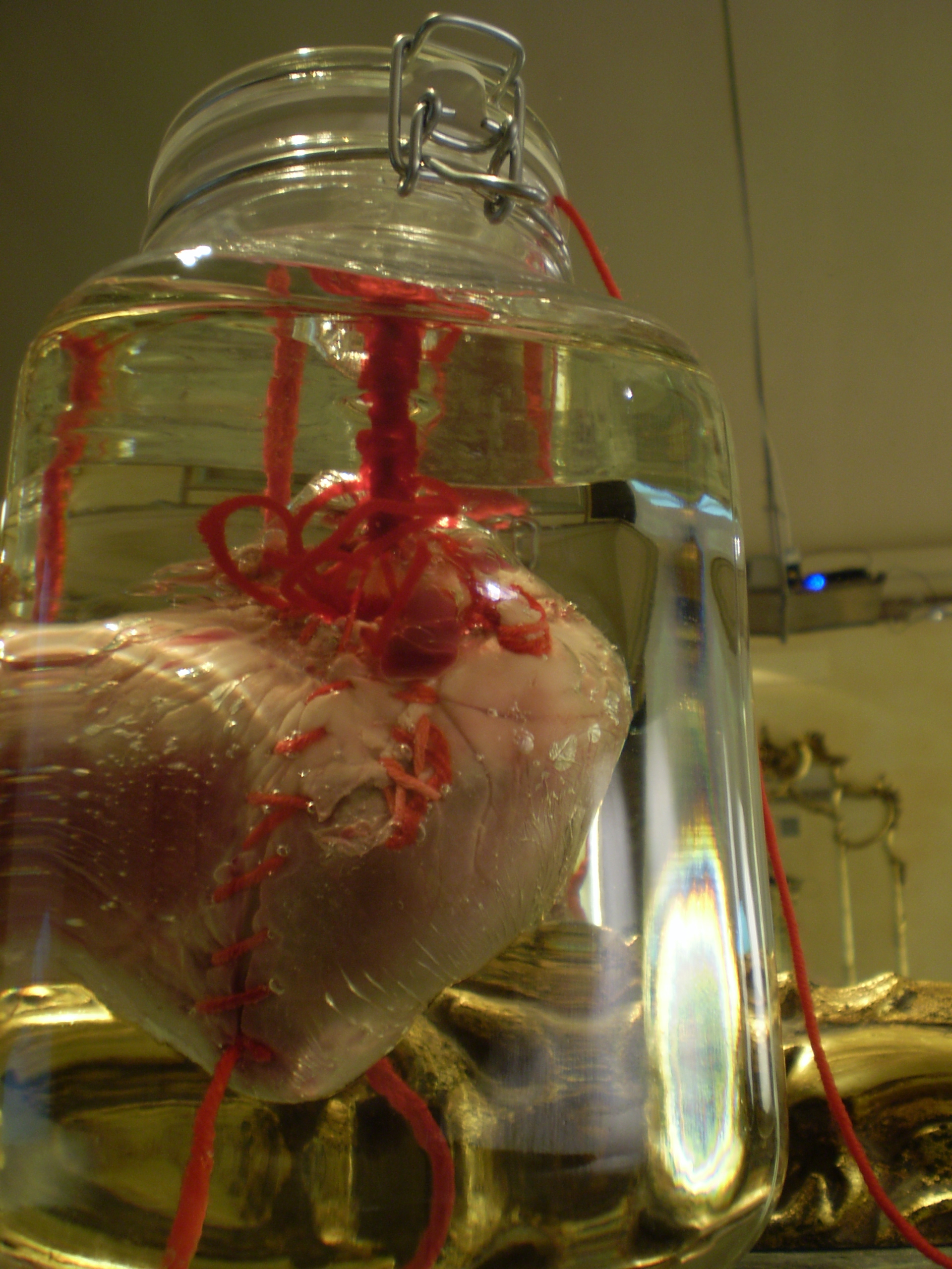 Little m(H)ouse | allestimento della mostra @amore - Villa Alliata, Palermo