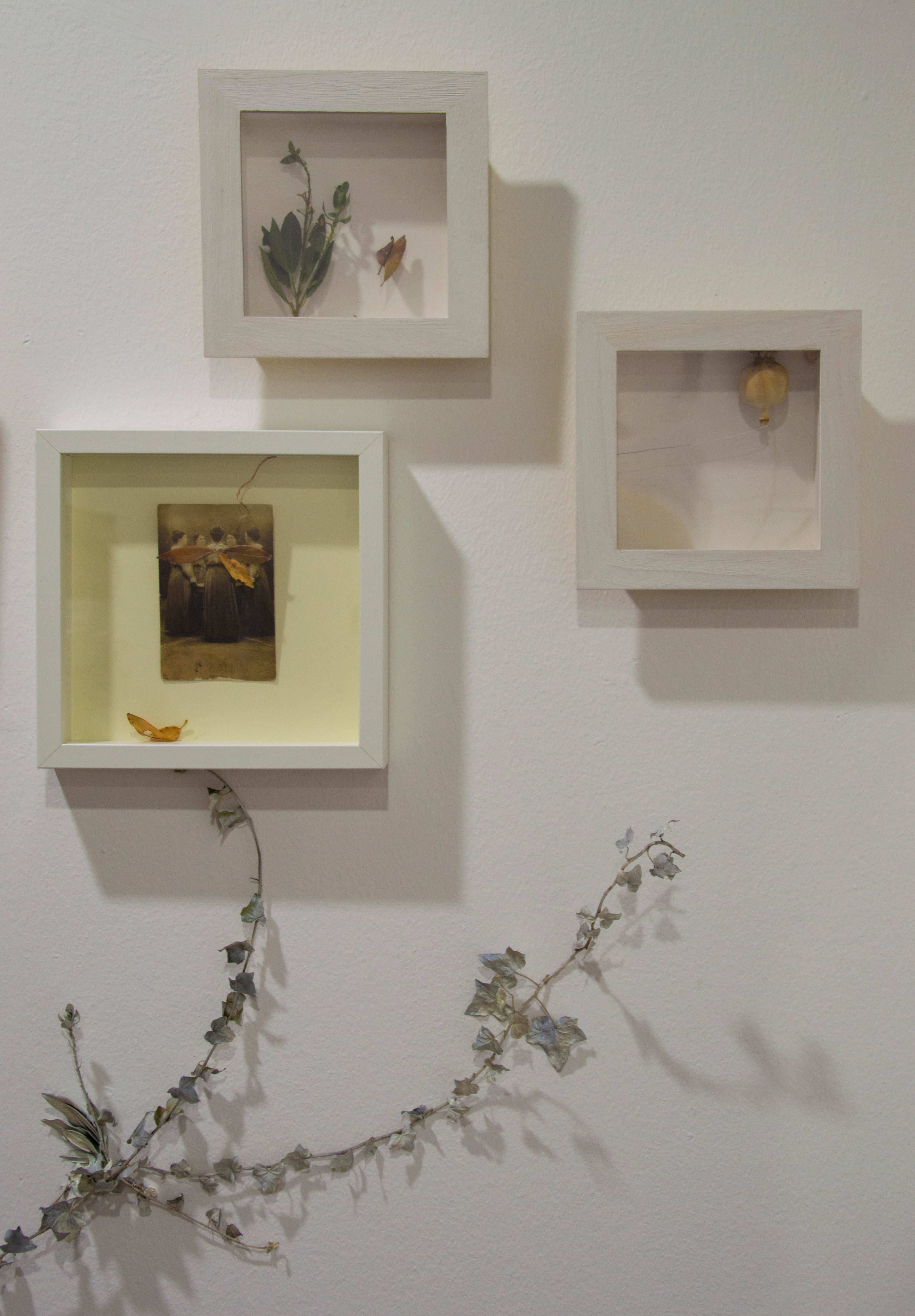 Happy Familiæ | Ordine apparente, veleno latente, 2020 - installazione