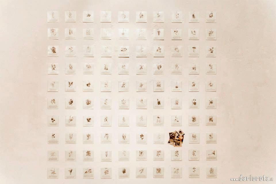 Familiæ Ordine apparente | Veleno latente - allestimento della mostra SPIRITO ITALIANO - Fabbrica Borroni, Bollate (MI)