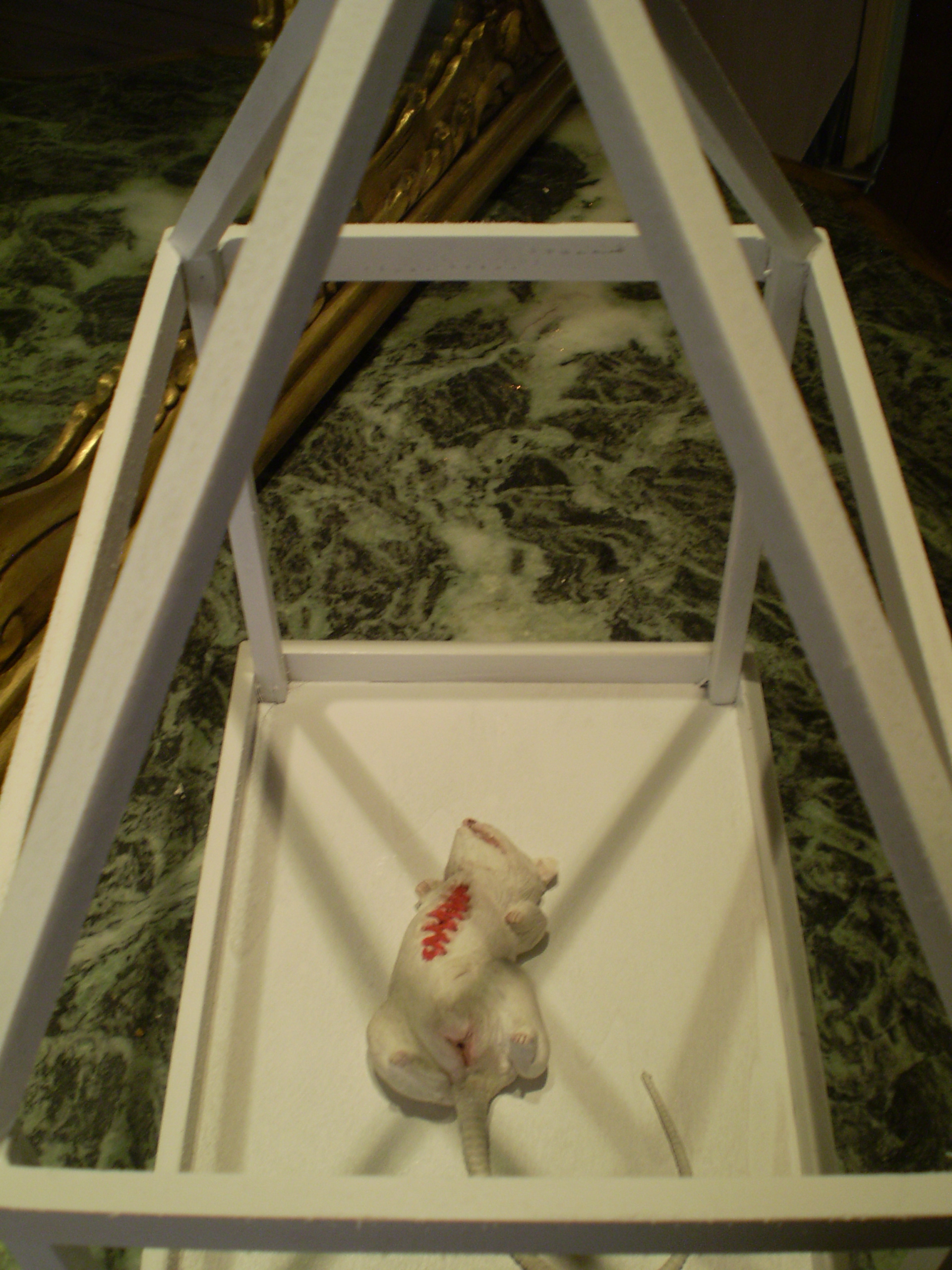 Little m(H)ouse | allestimento della mostra @amore - Villa Alliata, Palermo