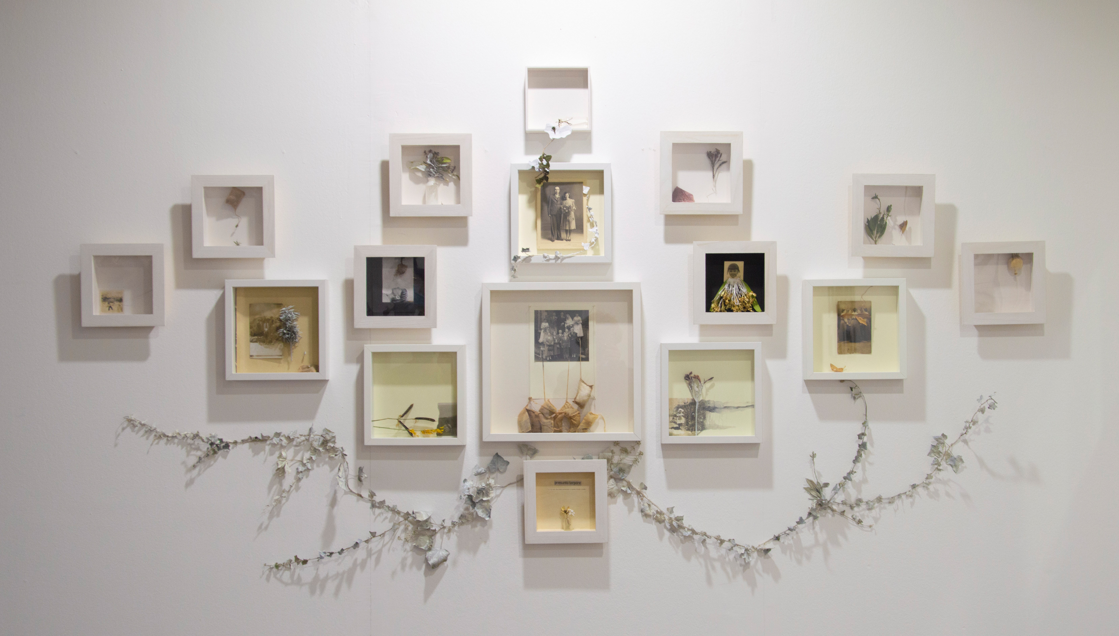 Happy Familiæ | Ordine apparente, veleno latente, 2020 - installazione