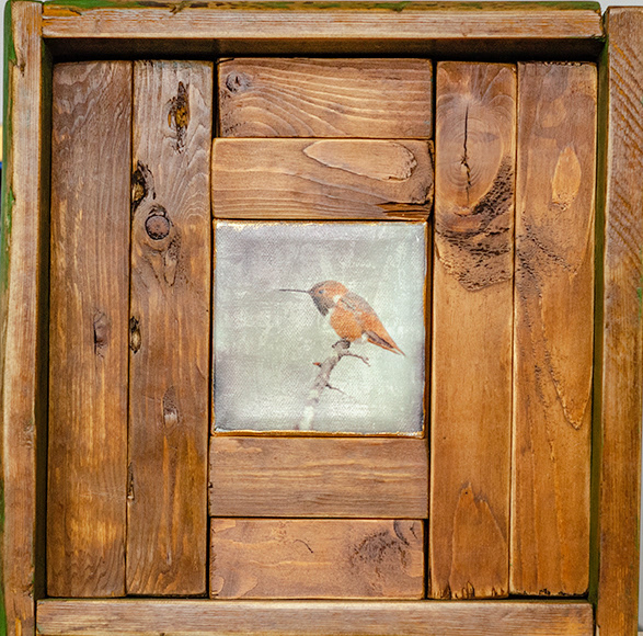 Allen's Hummingbird (Selasphorus sasin) 2018 - 11 1/2 x 11 1/2 - Acrylic, gel medium, canvas ink jet photo, wood, and wax.