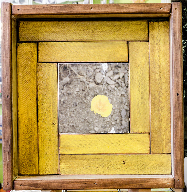 Art Box - "Poppy" Nov .2016 - 12 1/2" x 12 1/2" - photo laser print, wood, acrylic.