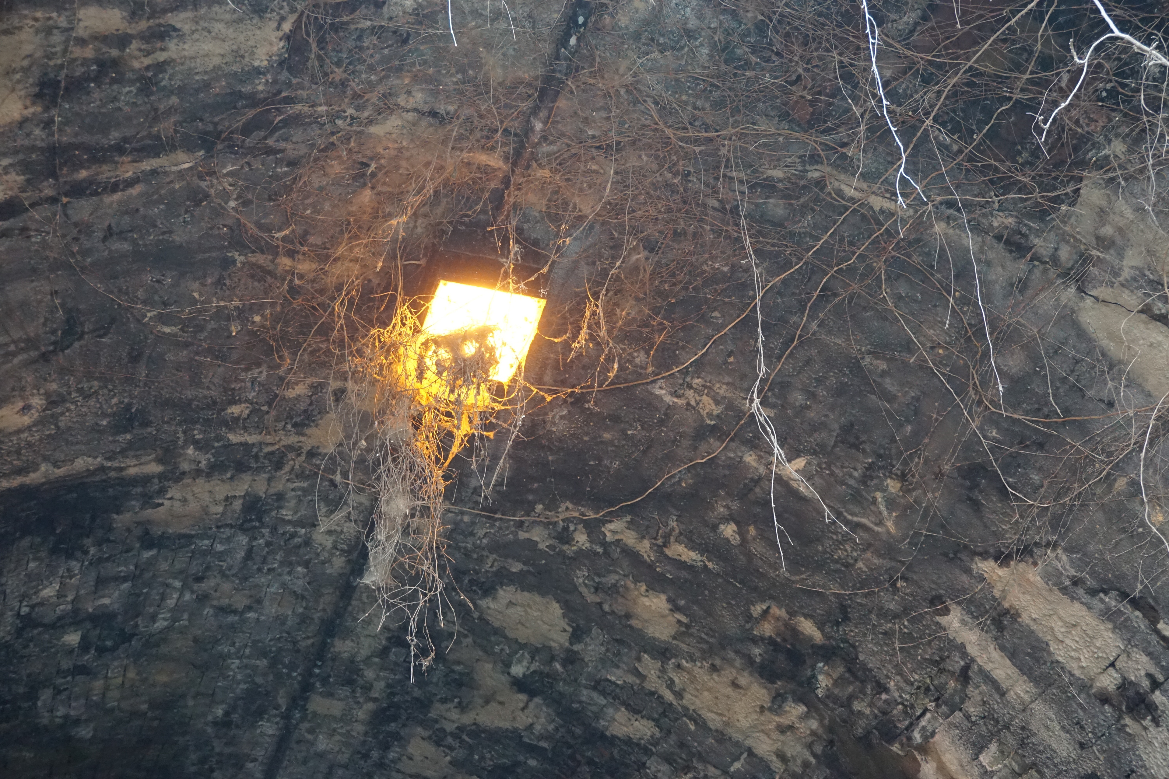 Punktale concept photography, AK 2018