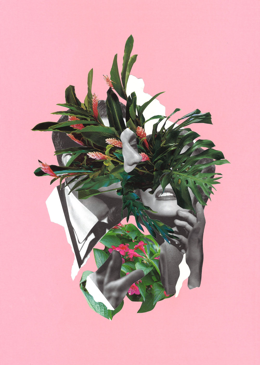 Let Love Grow, Analogue collage on paper, 2017