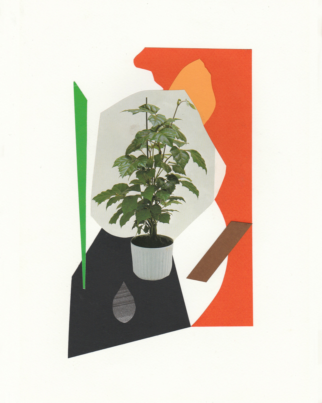 Plant Study, Analogue collage on paper, 2018