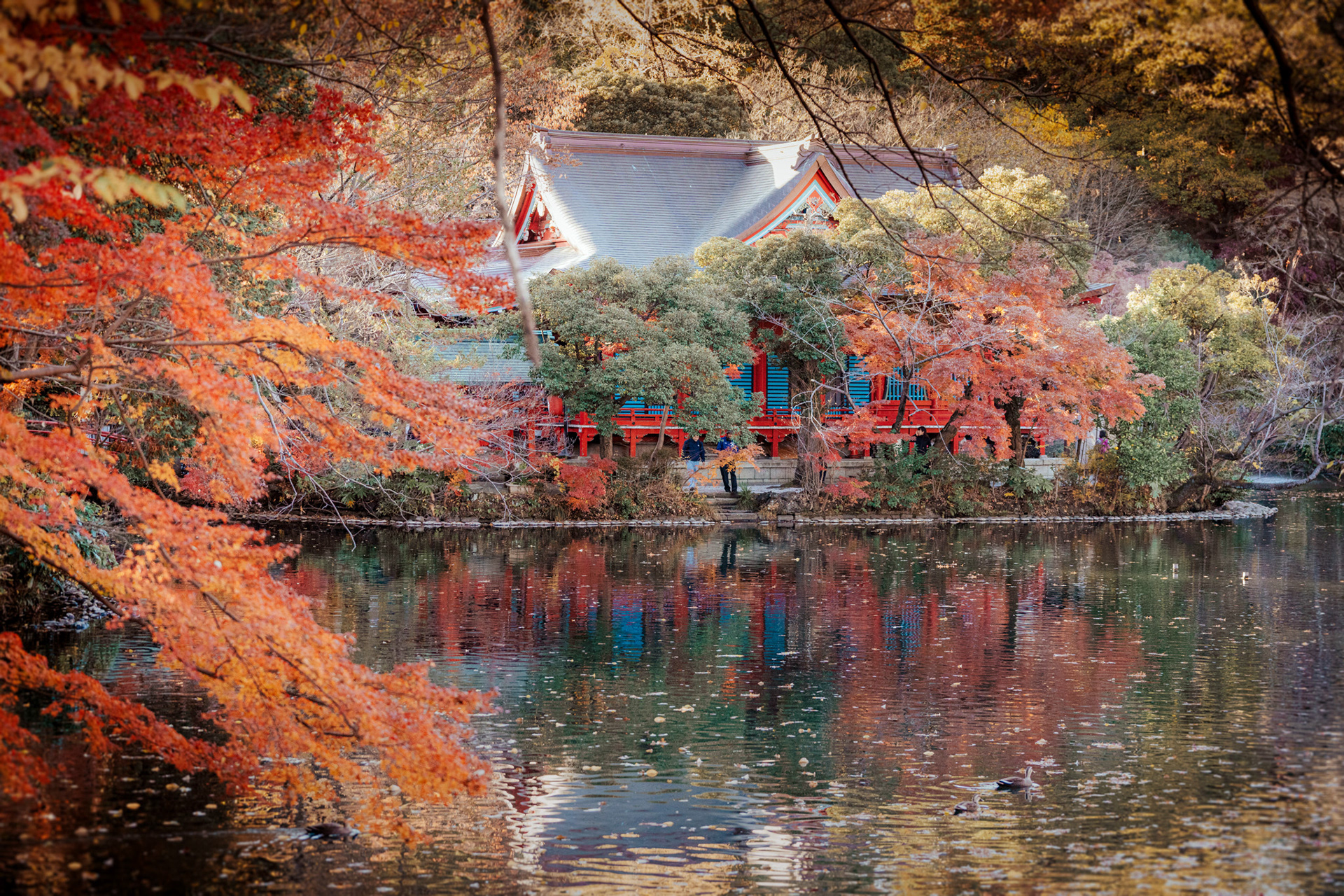 A temple on a lake in Tokyo