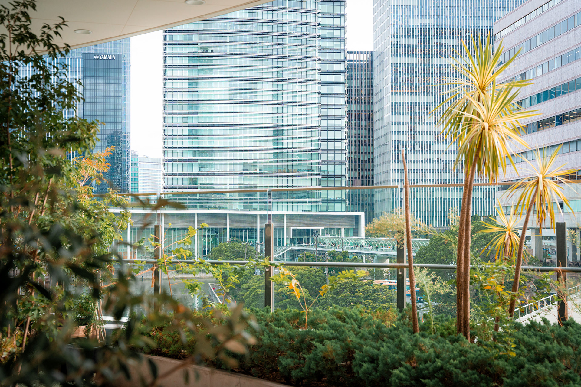 Global corporate imagery with greenery for website 