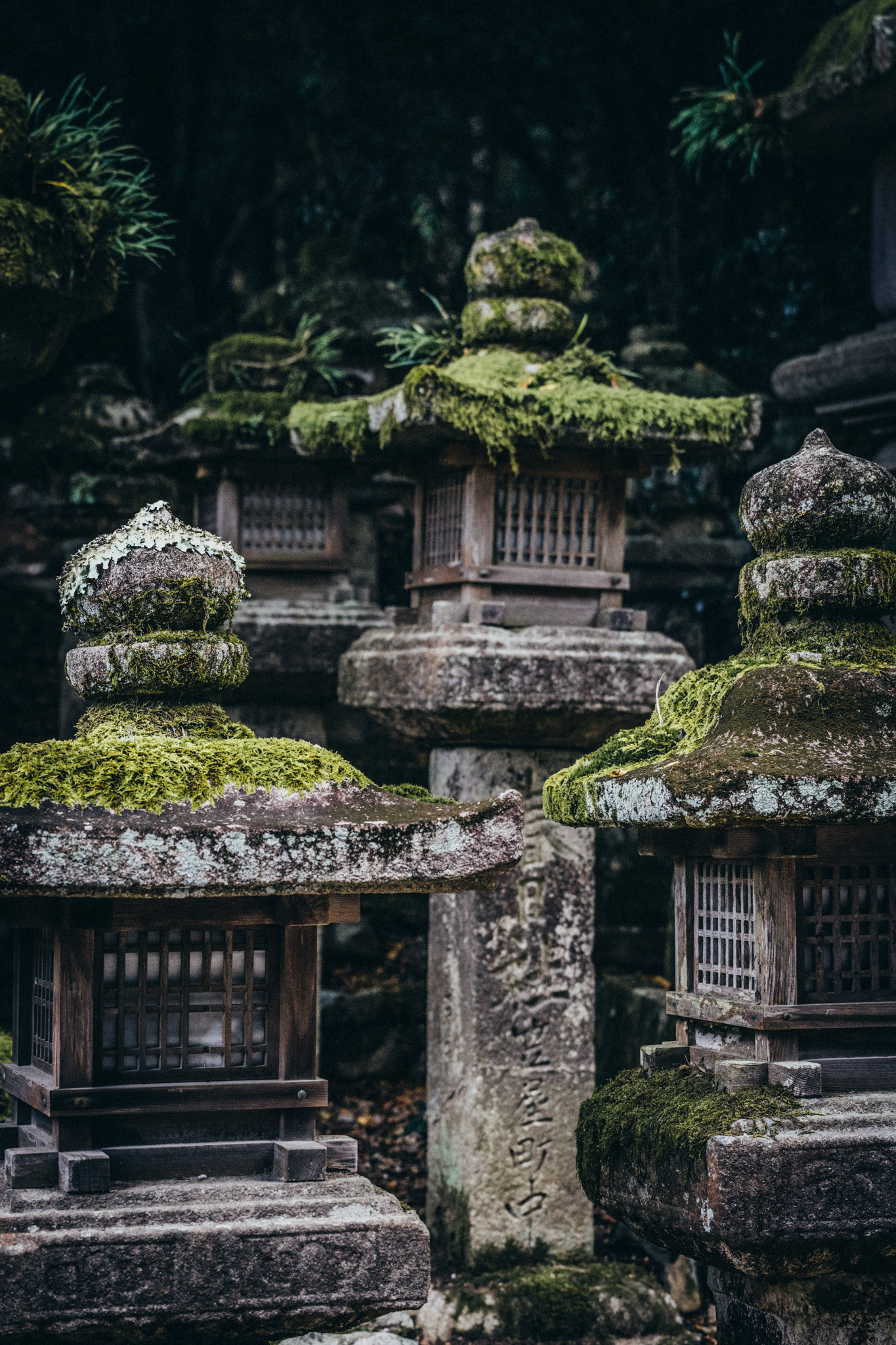 Stone lanterns in temple