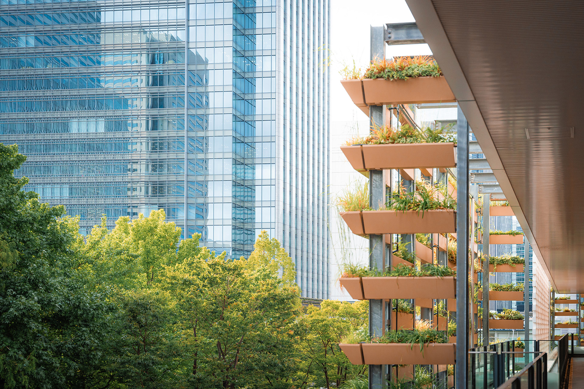 corporate image with greenery for website 