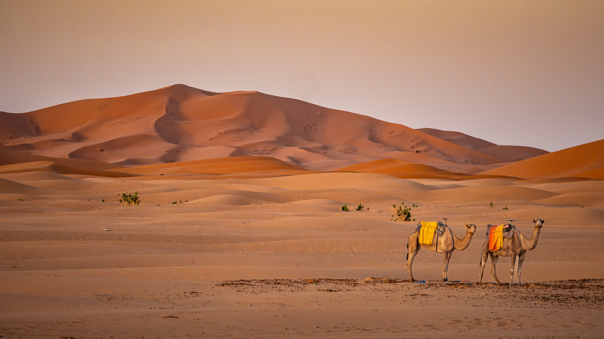 Merzouga - at sunrise
