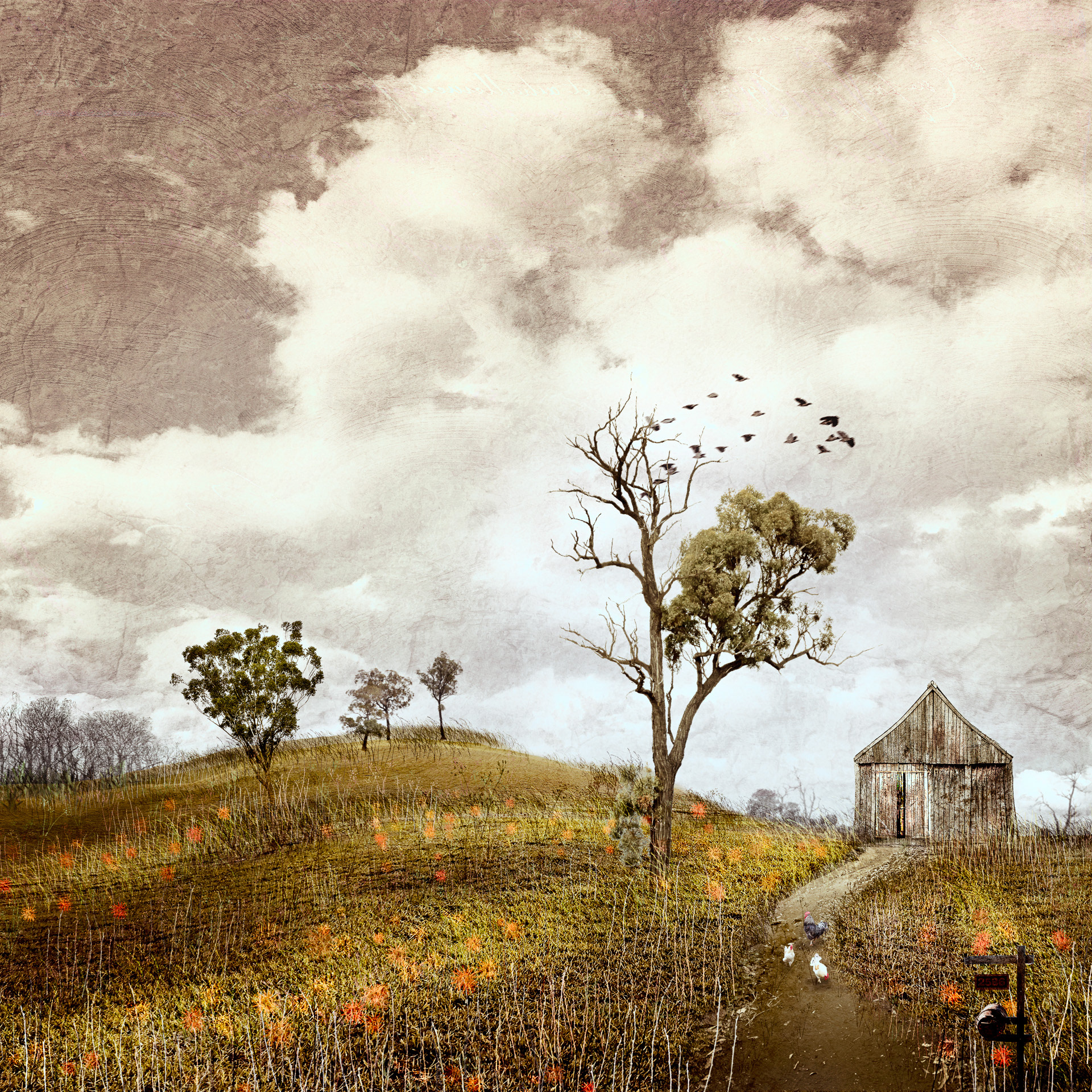A Spring Day