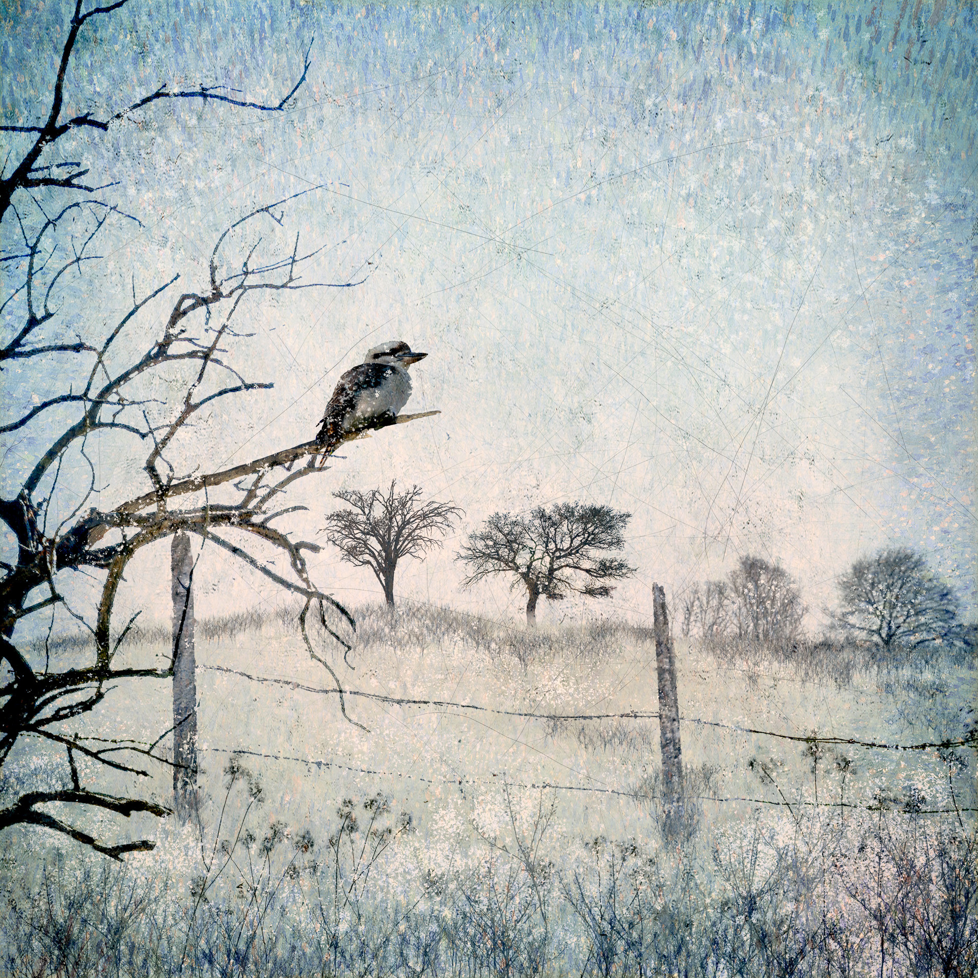 Bird on a Branch