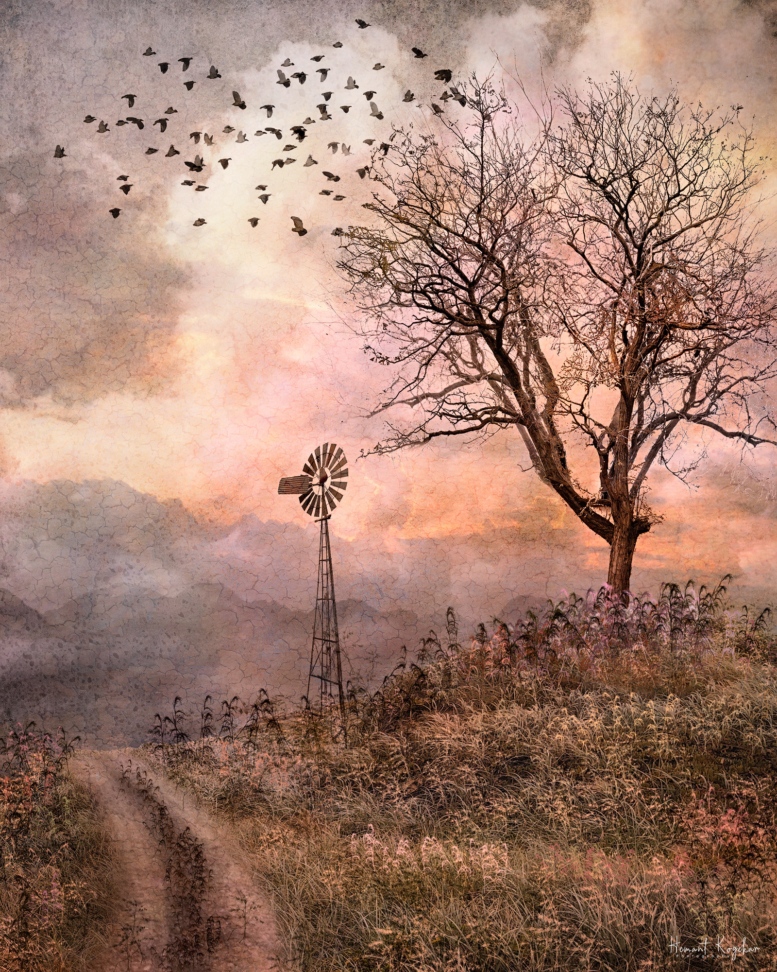 Windmill