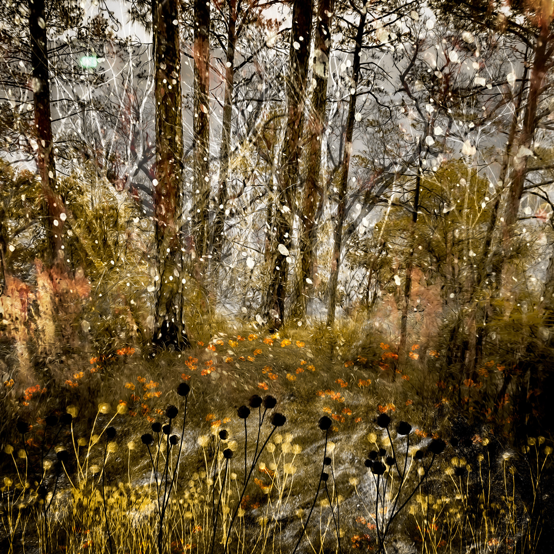 Trees and Flowers