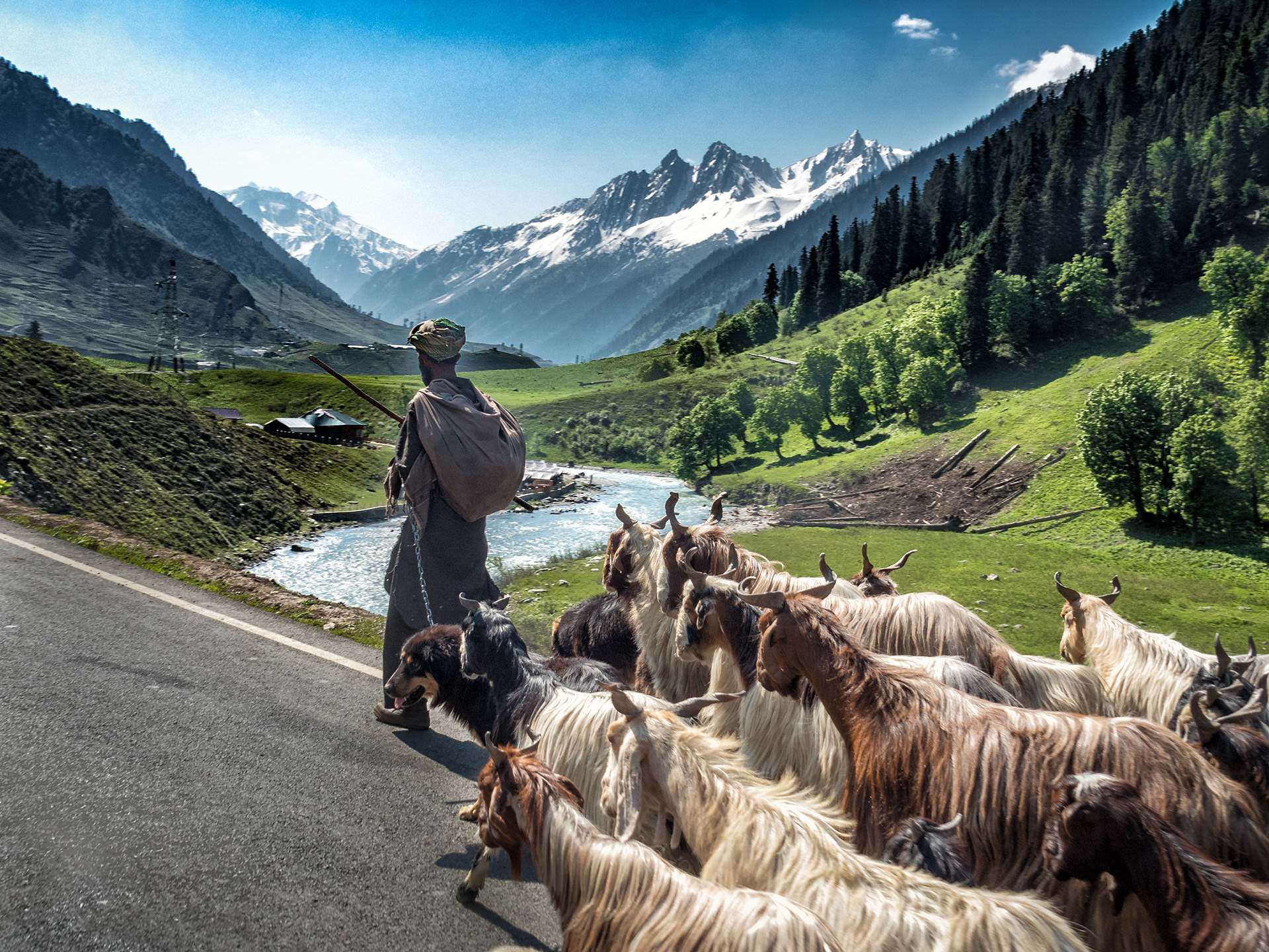 Traversing mountains with goats