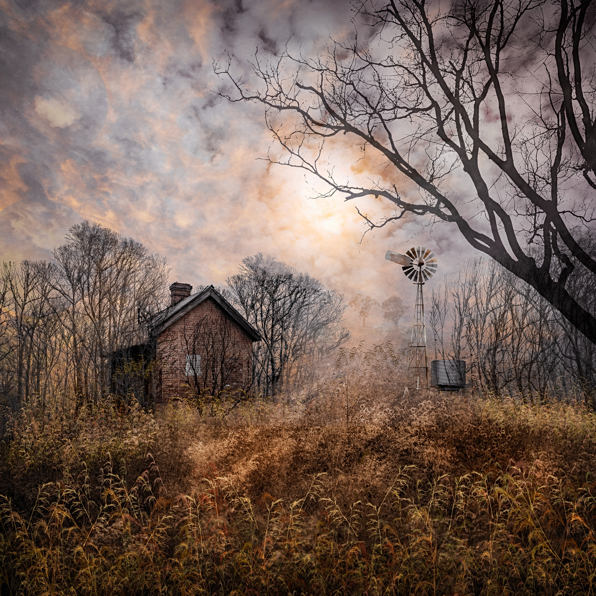 Overgrown