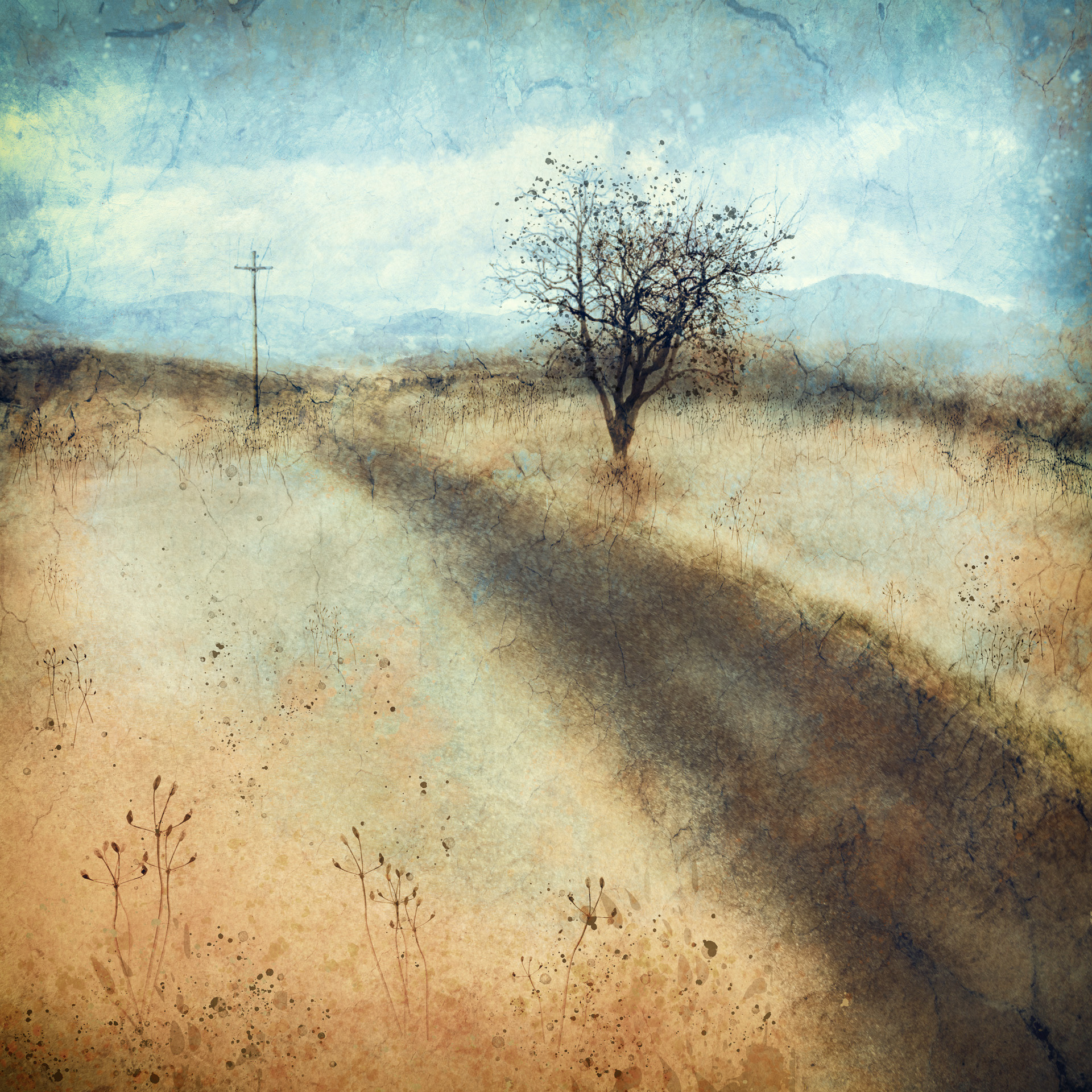 Long country road